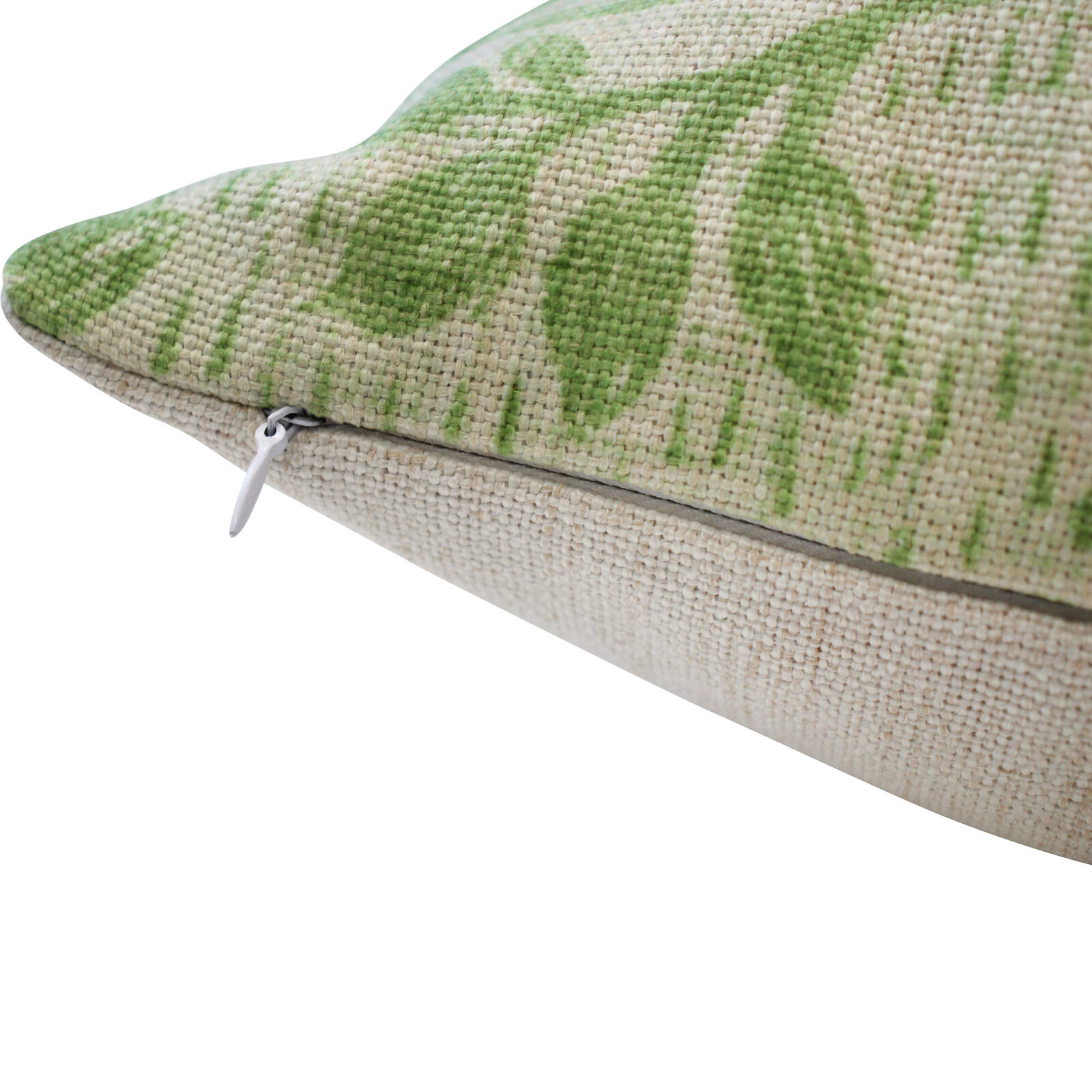 Cushion Sage Bird