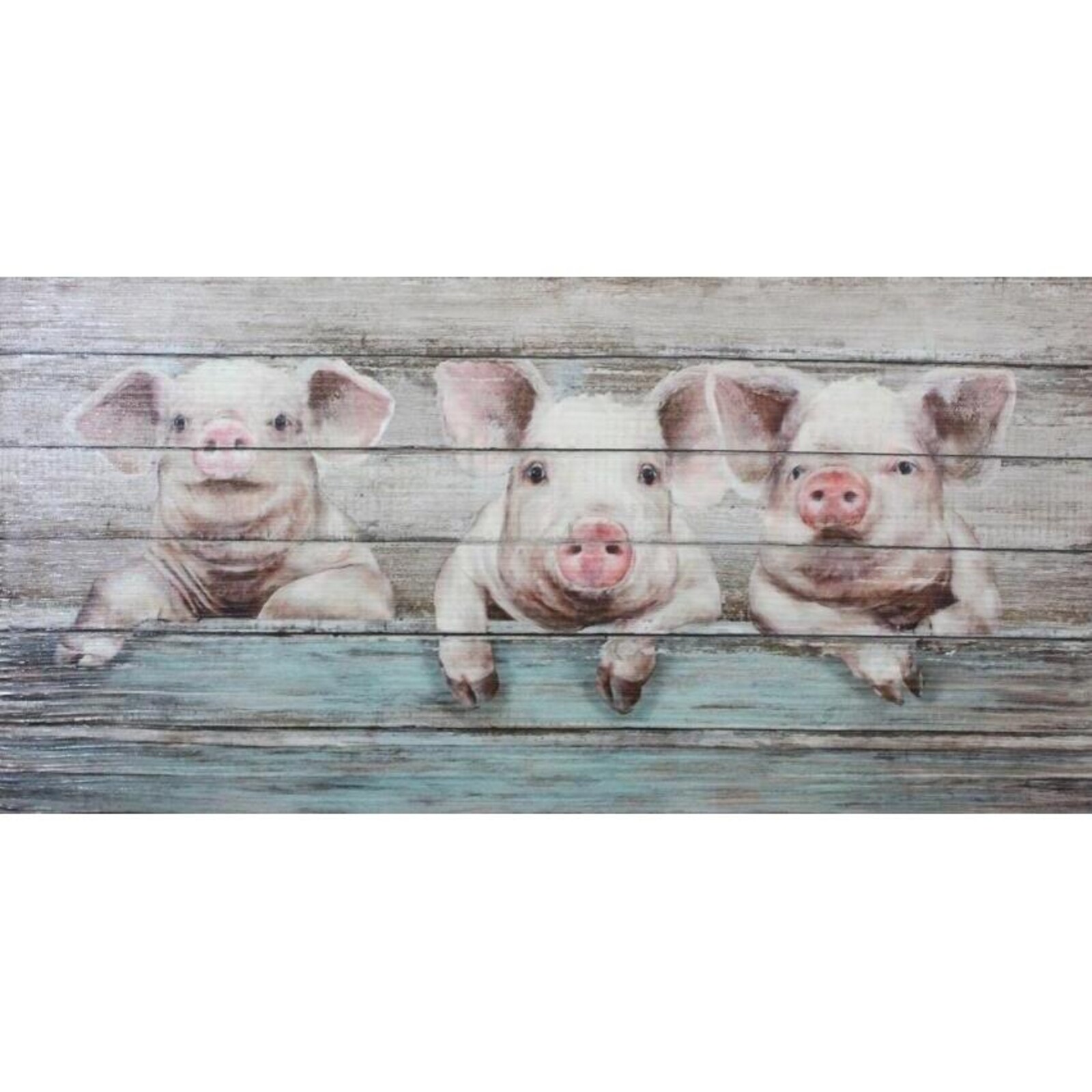 Canvas Piggies
