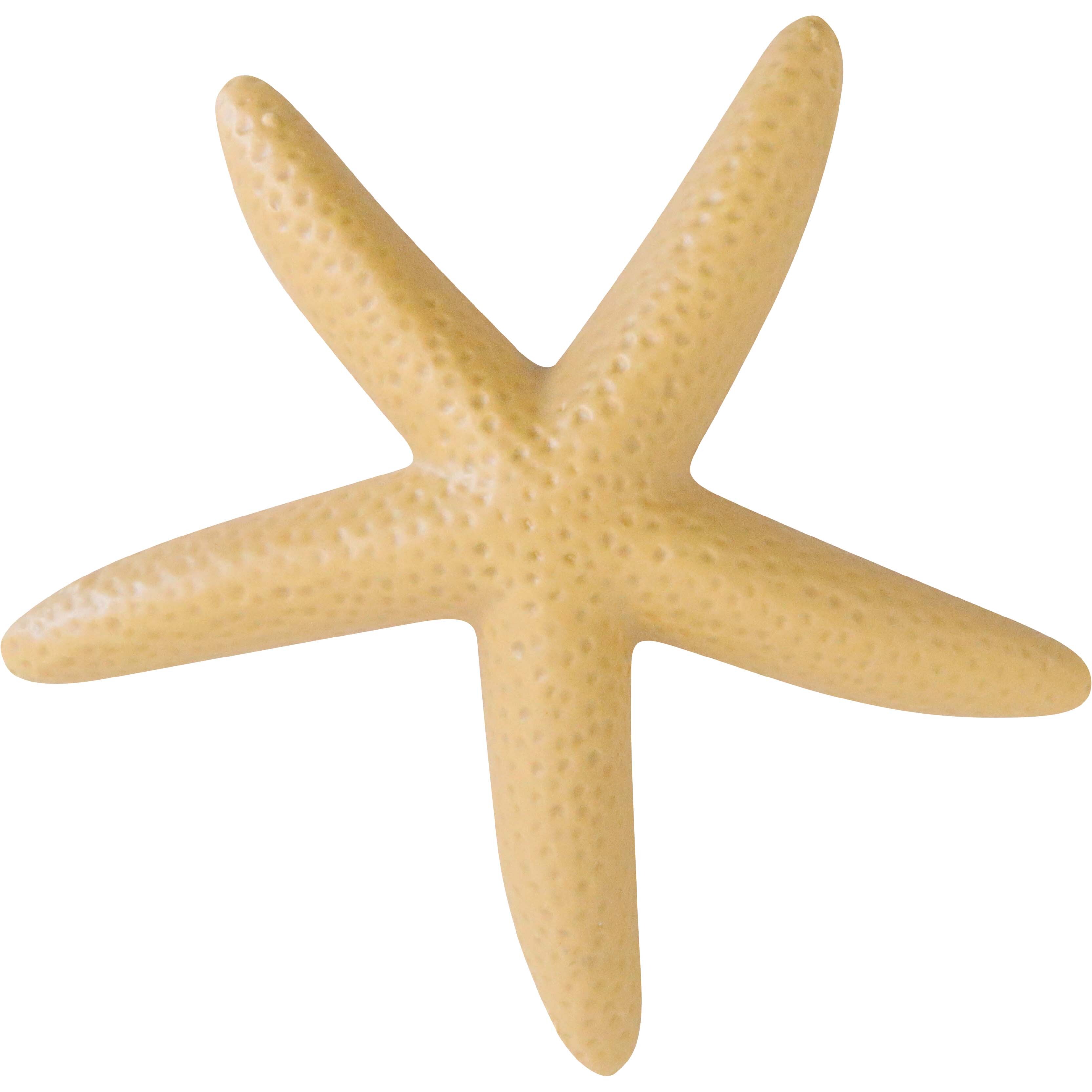 Starfish Med Spice