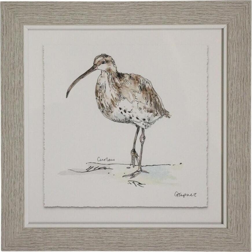 Framed Print Curlew