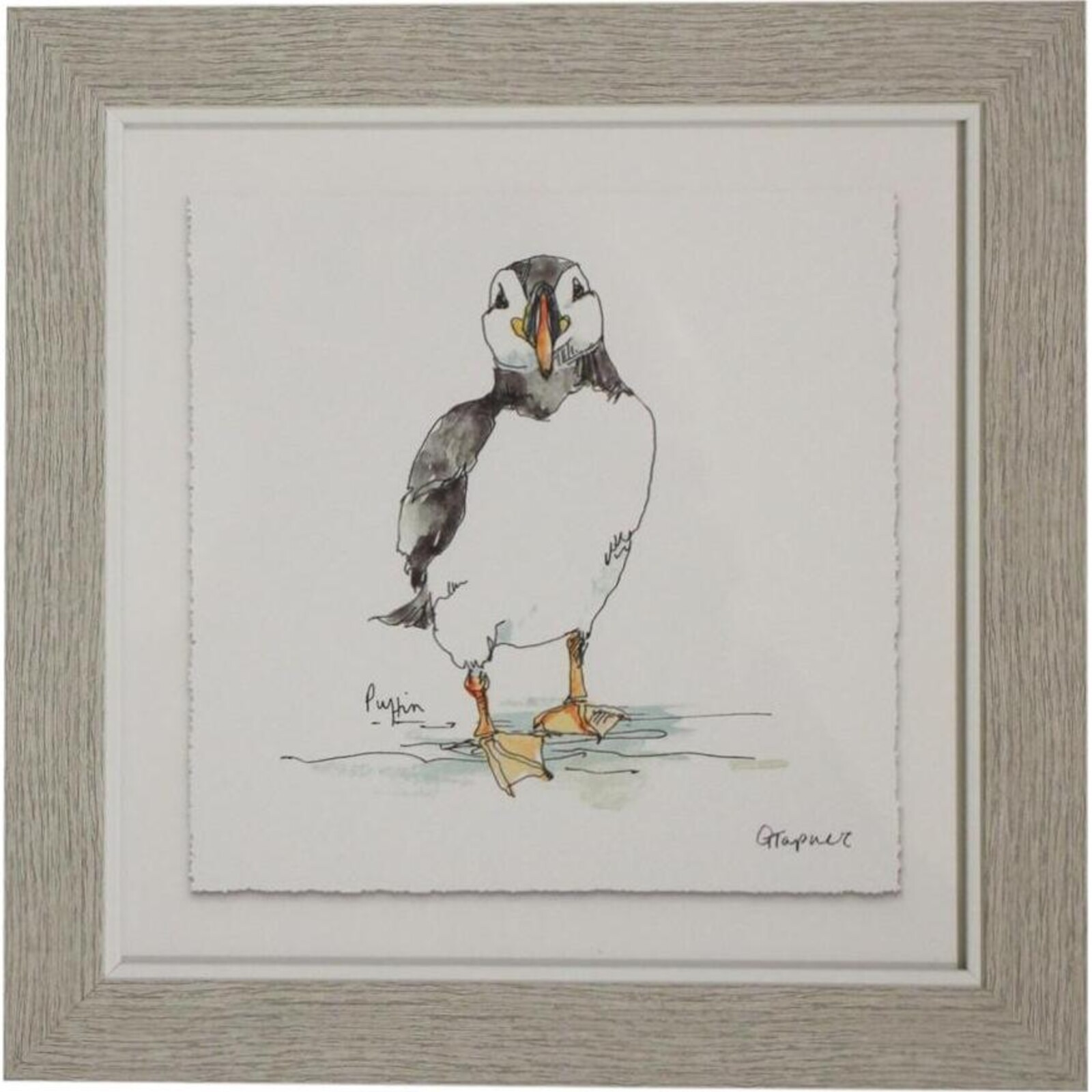 Framed Print Puffin