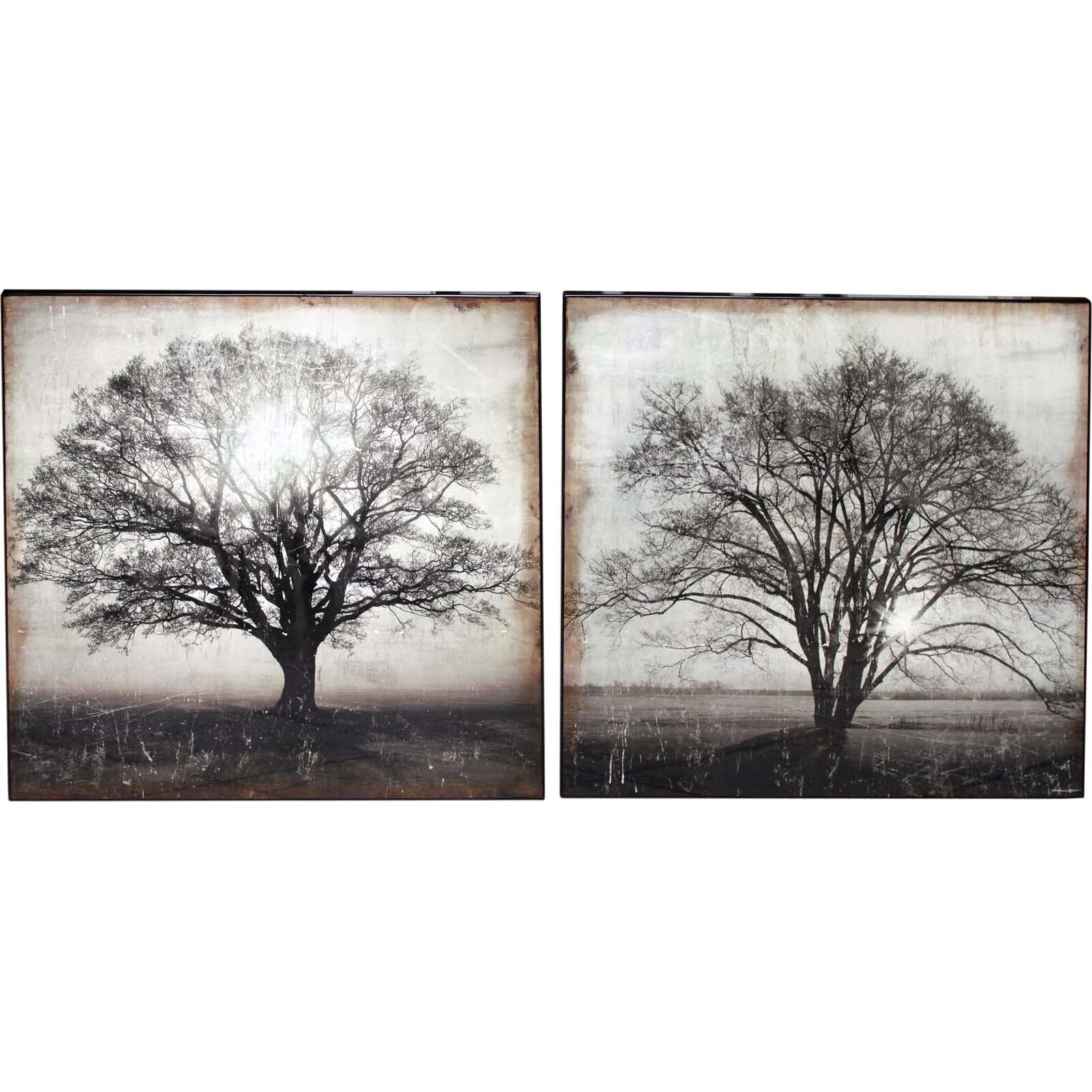 Lacquer Print - Sunlit Trees - set 2