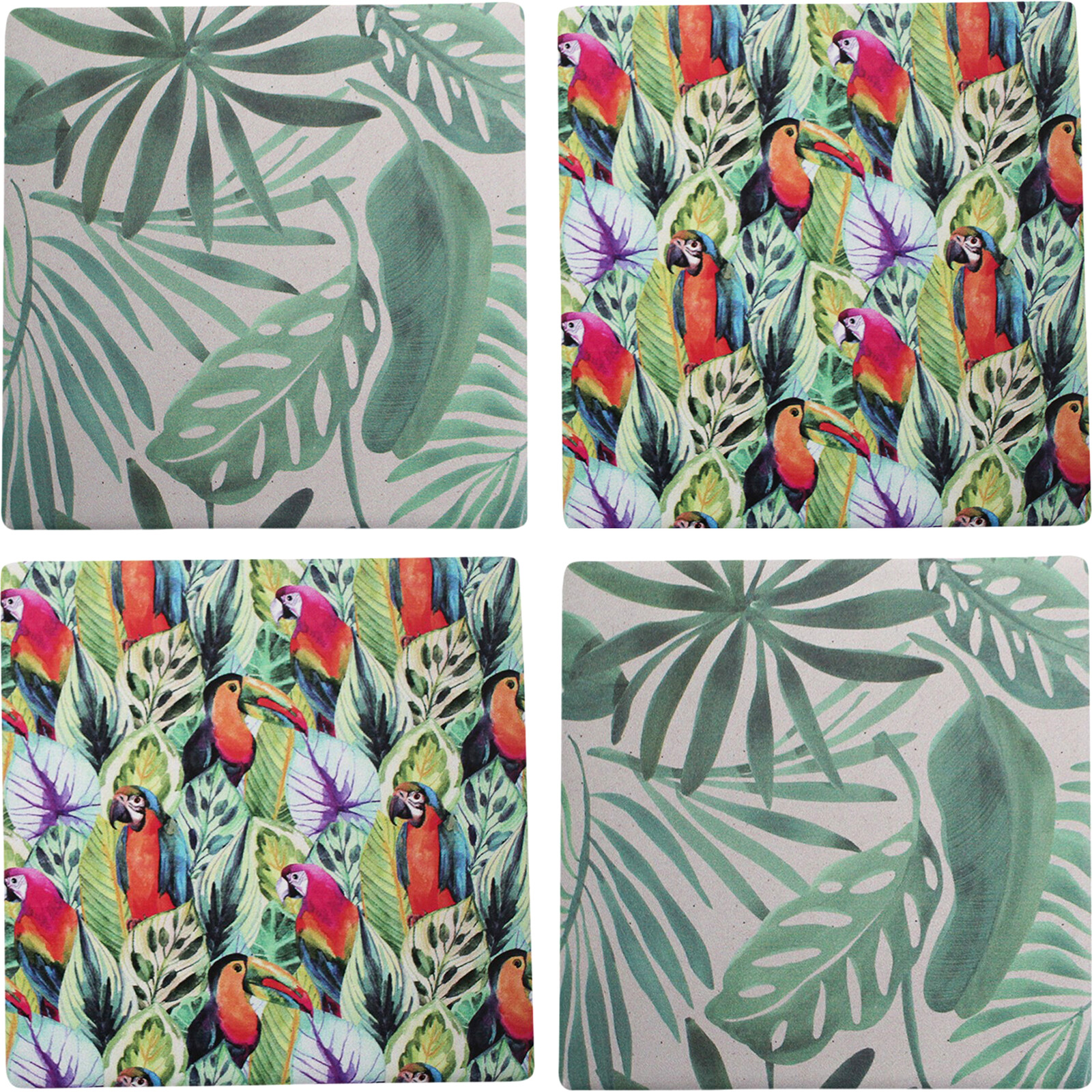 Coasters Tropical S/4