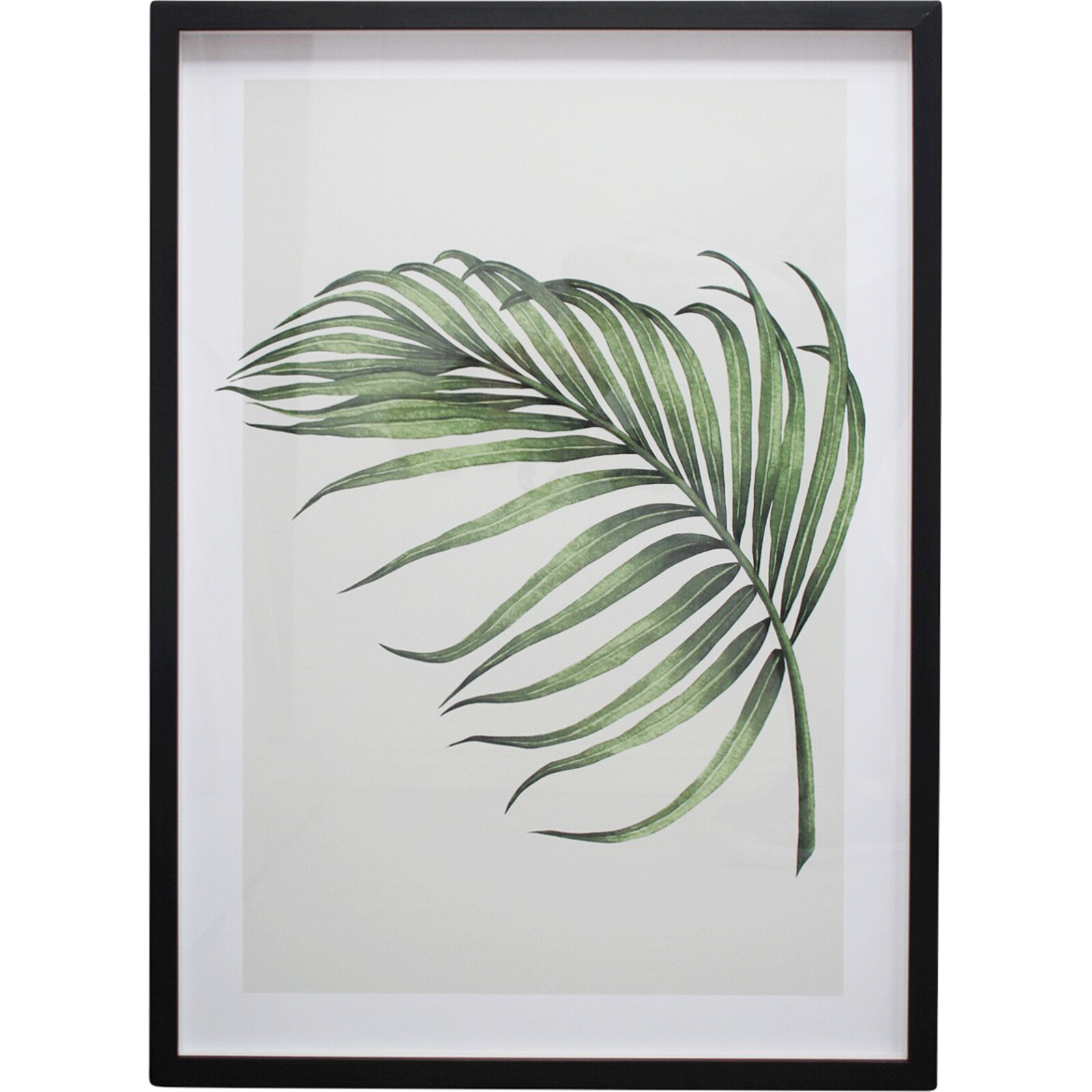 Framed Print Botanical 2