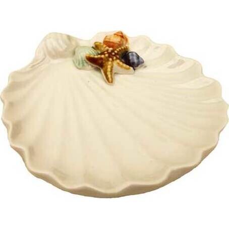 Tray Scallop Shells