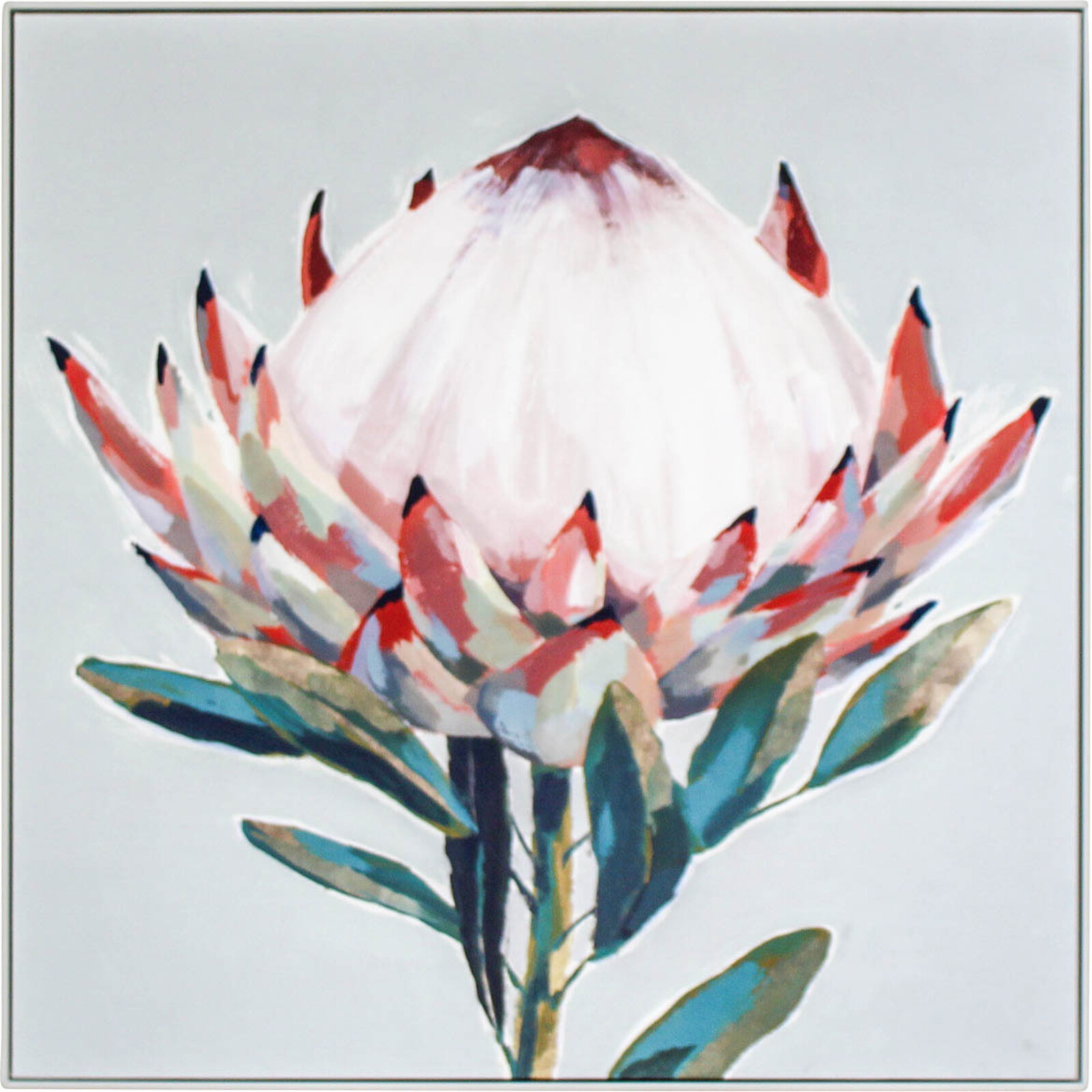 Framed Canvas Protea Stem