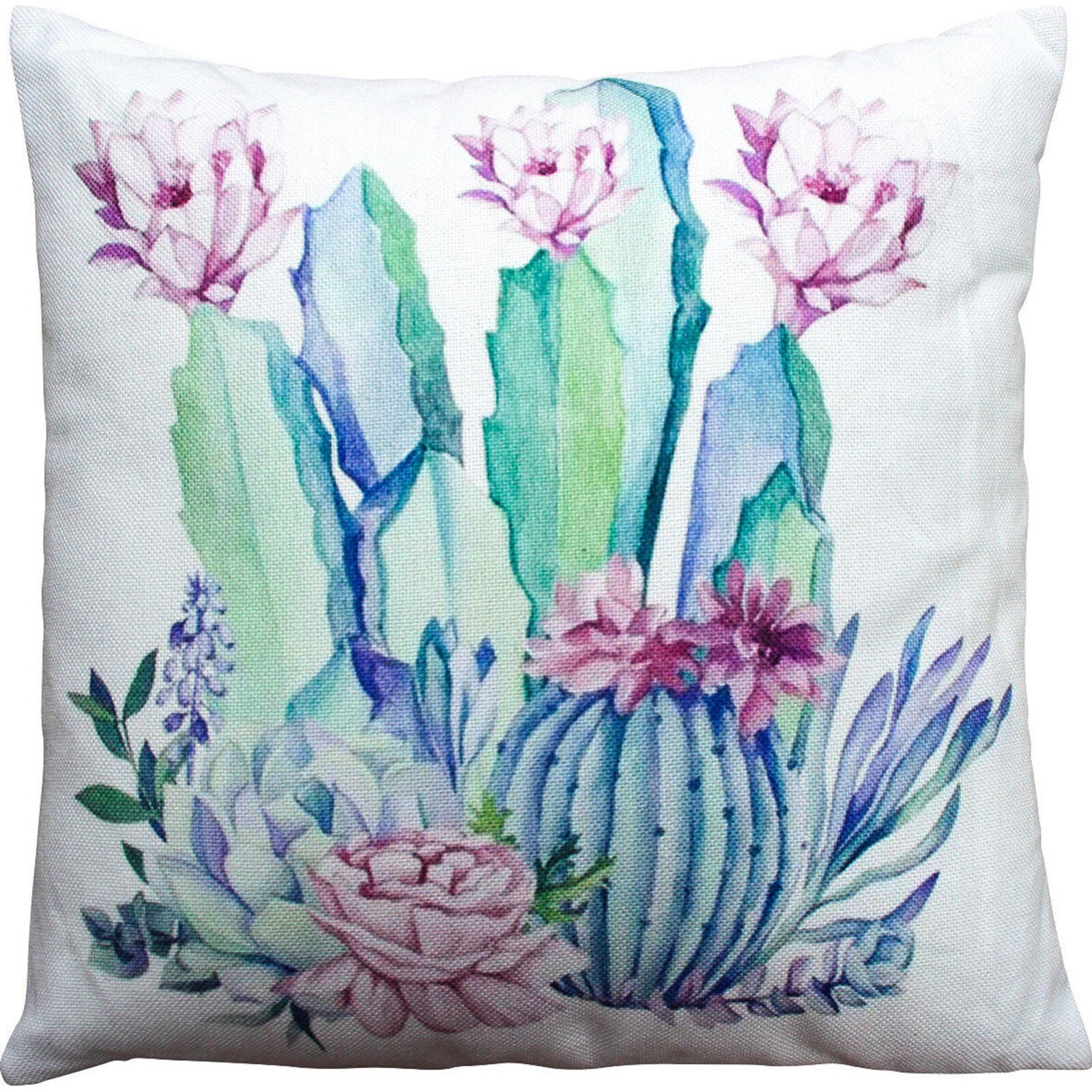 Cushion Cacti Pastel