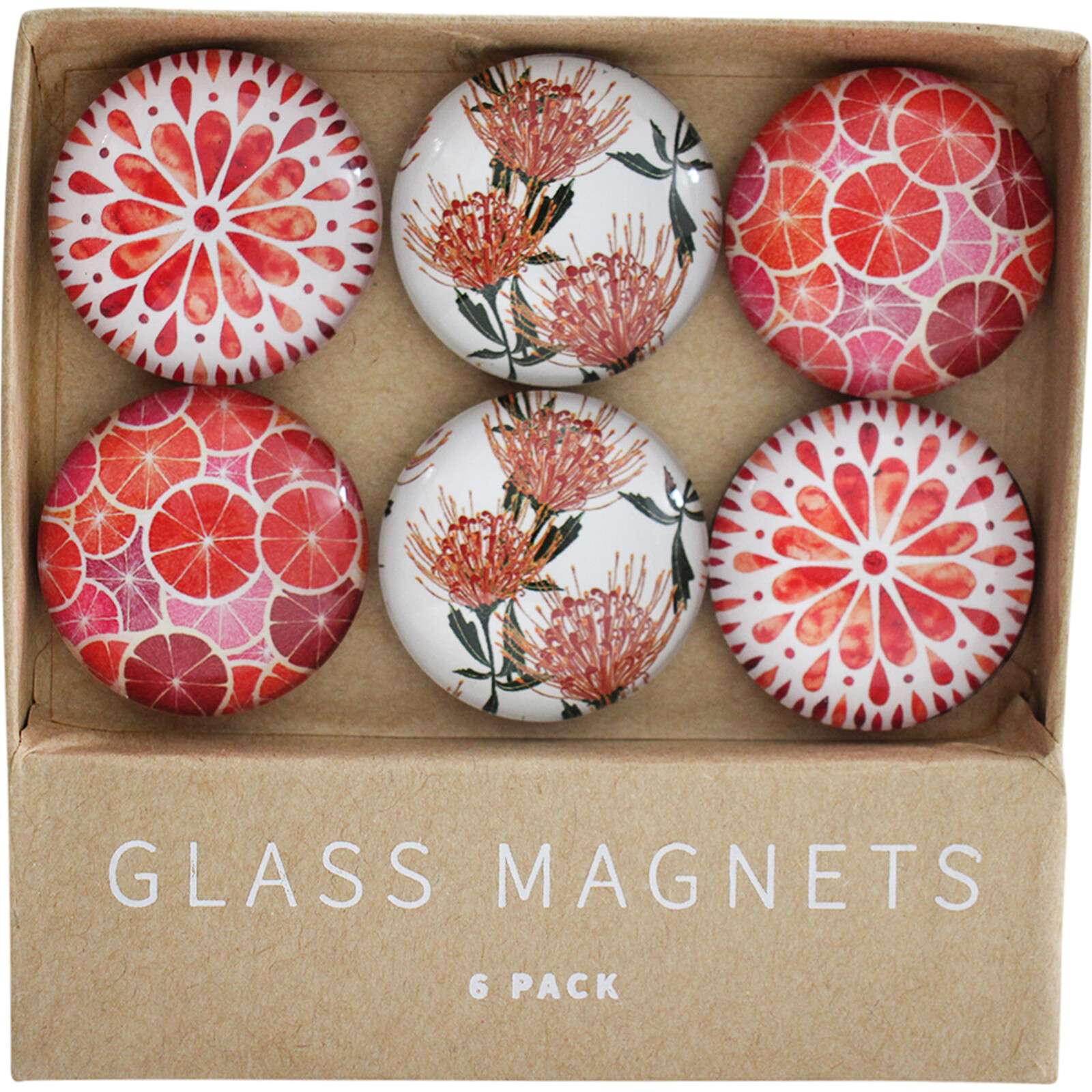 Glass Magnets Fruit BurstS/6