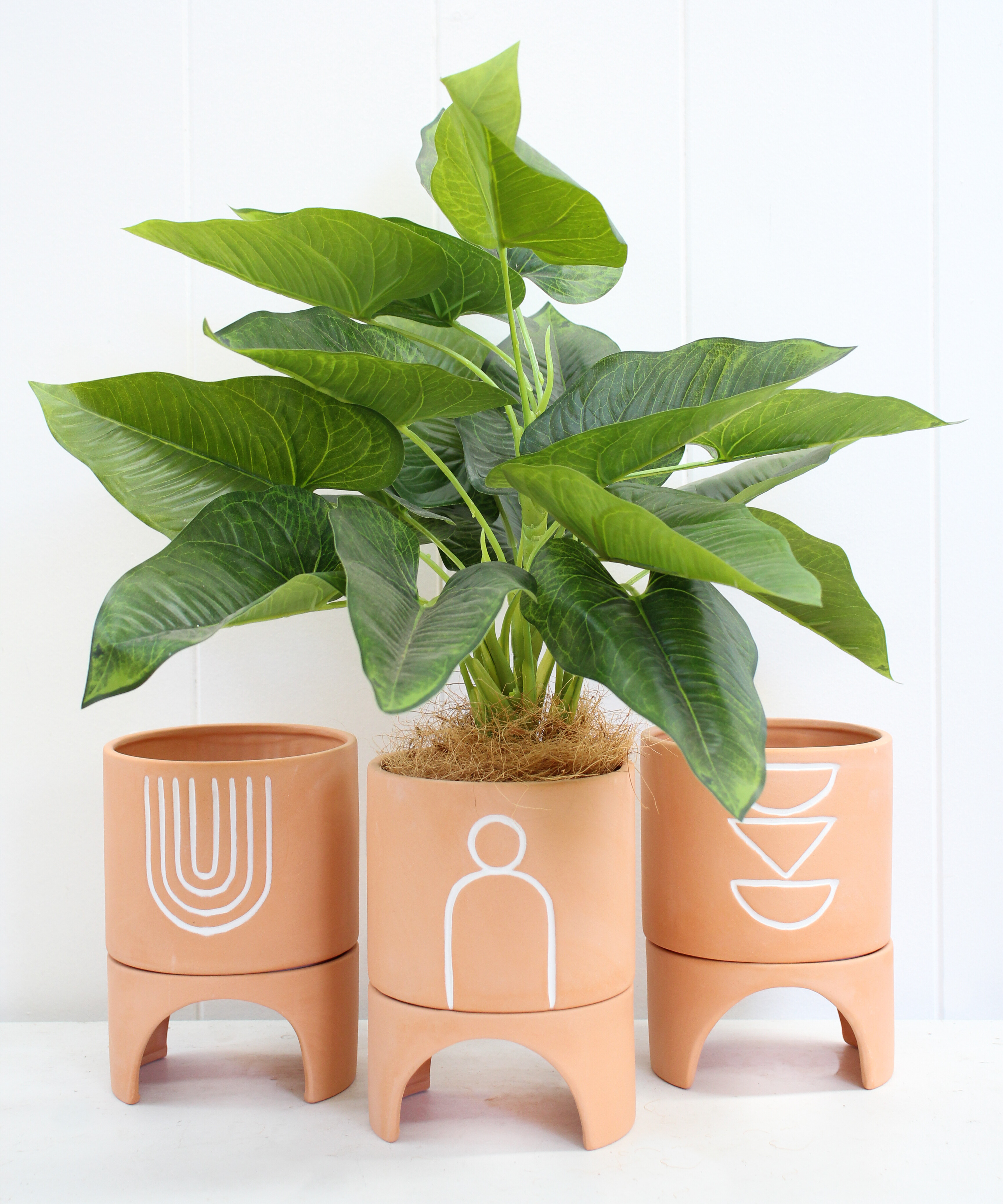 Planter Boho