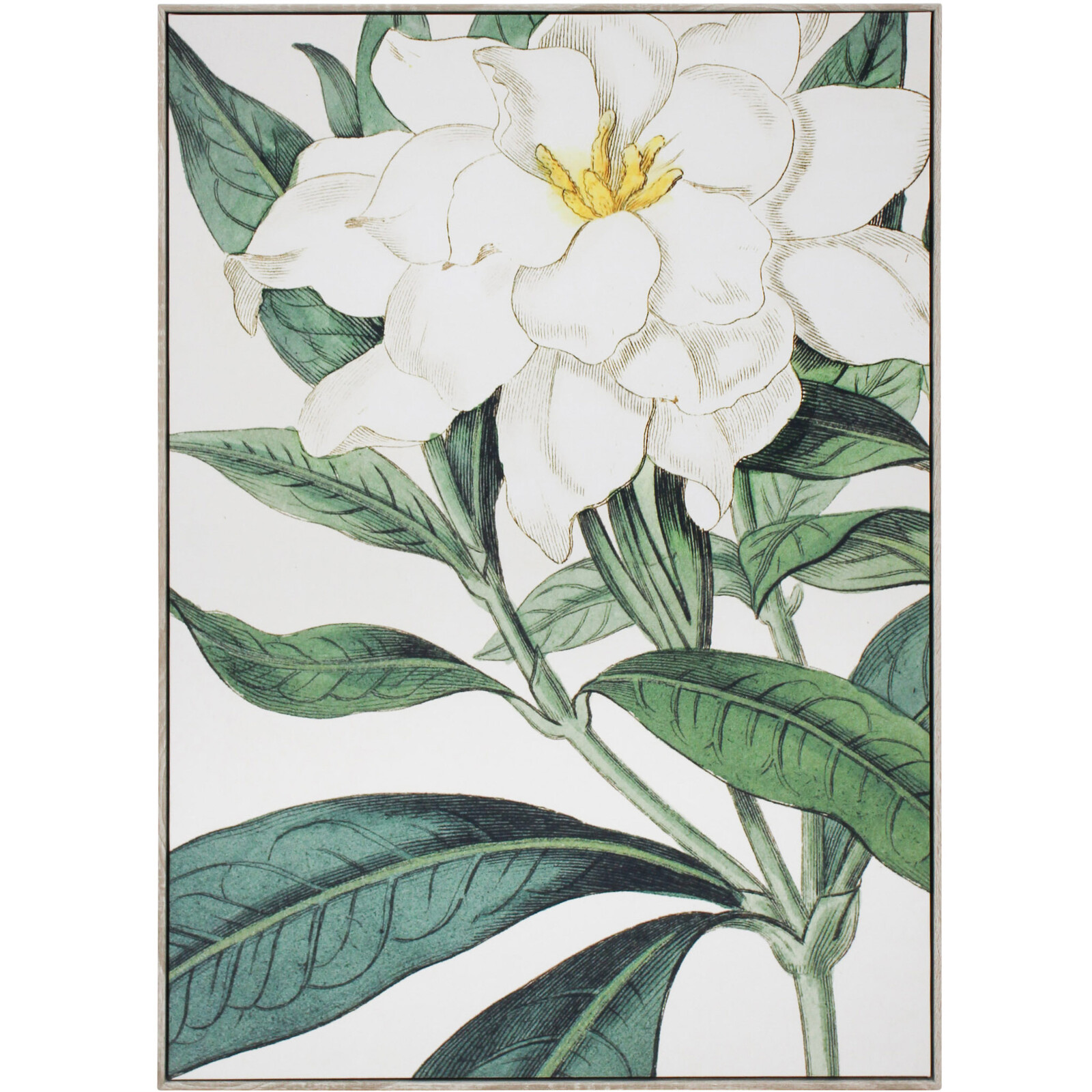 Framed Canvas Gardenia