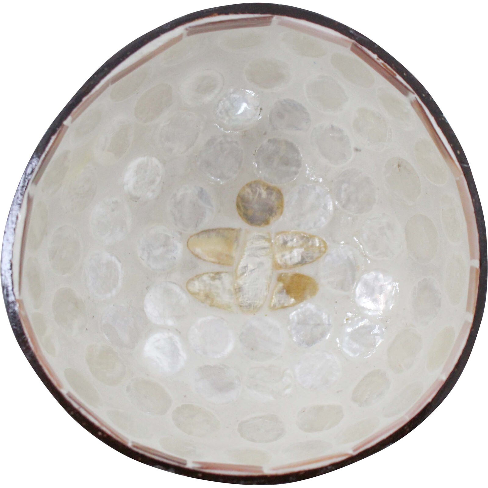 Coconut Bowl Bee Ivory