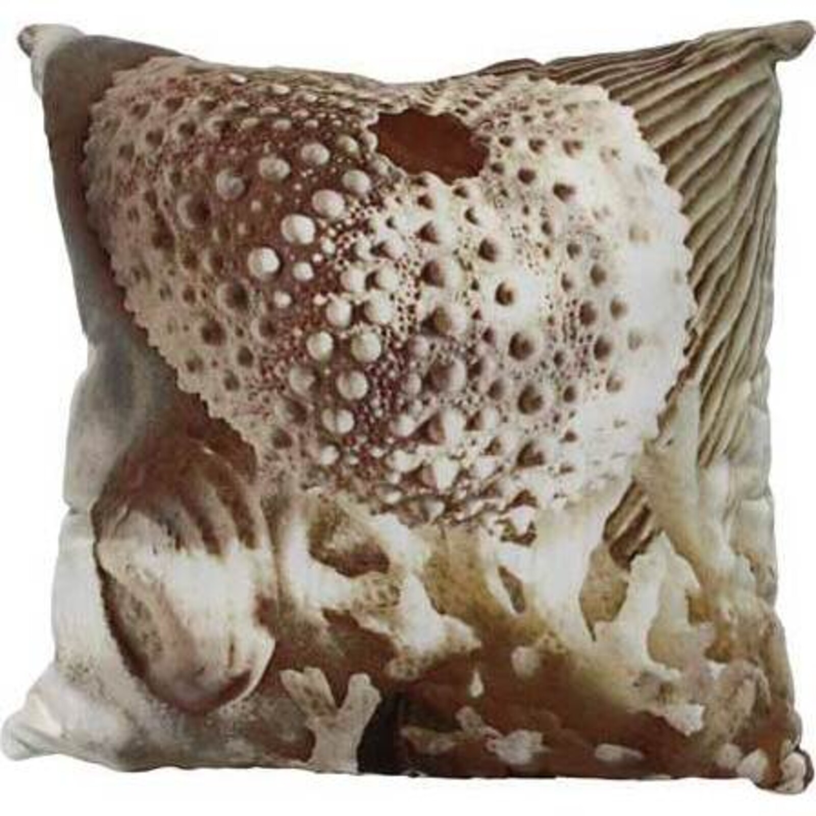 Cushion Urchin Natural