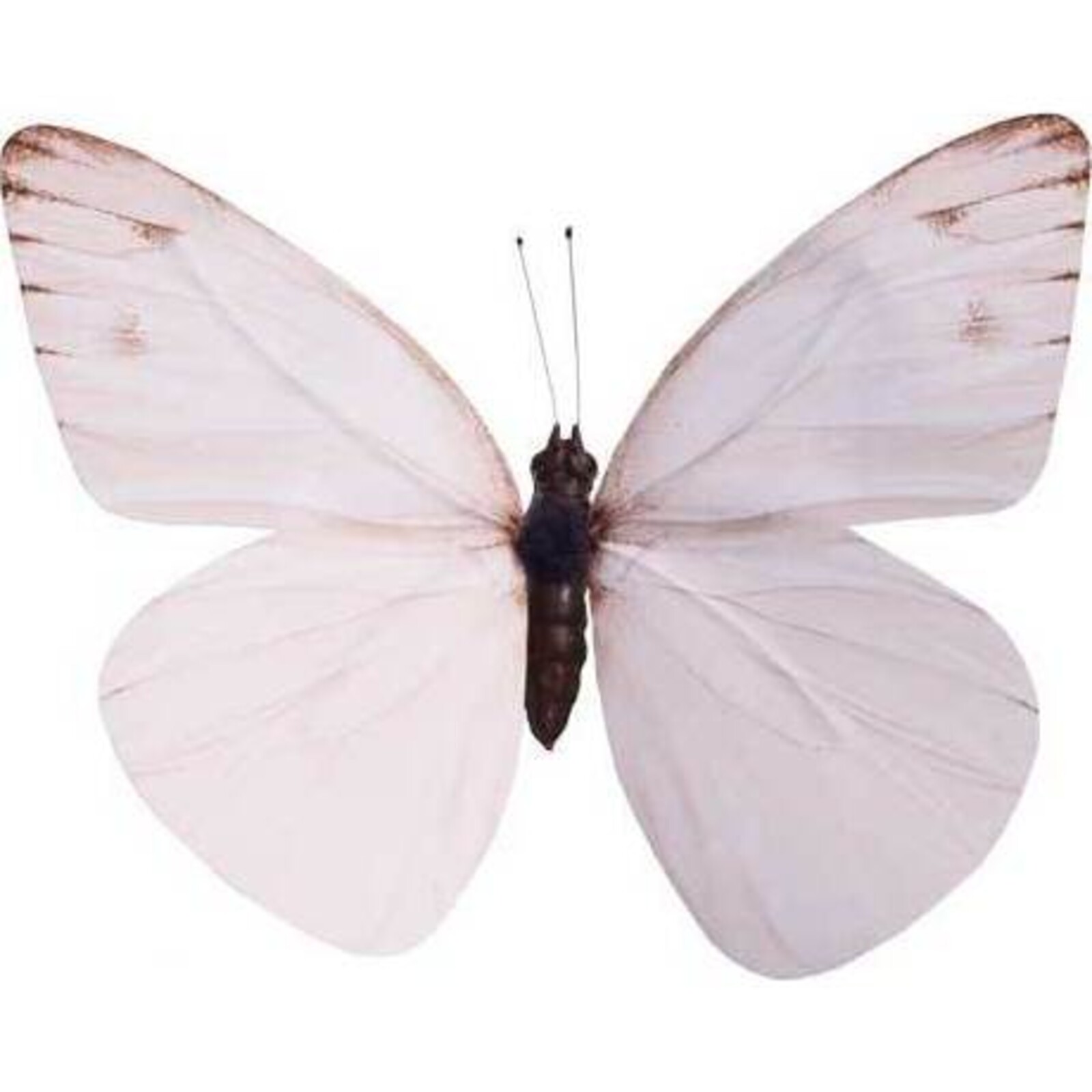  Butterfly Large - Baby Pink