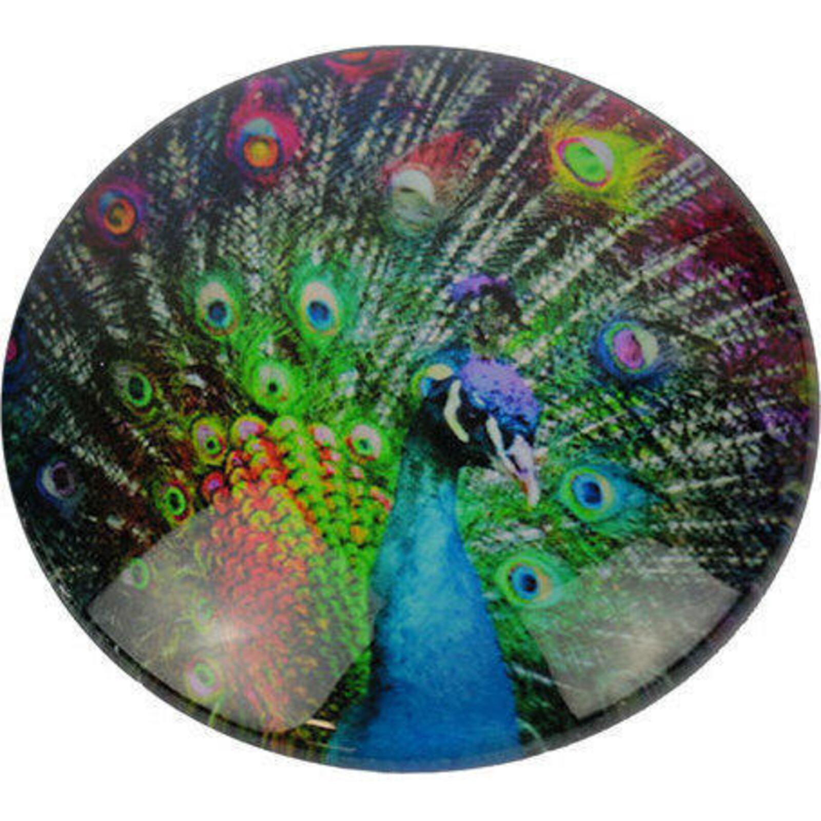 Glass Magnets  Peacock Close