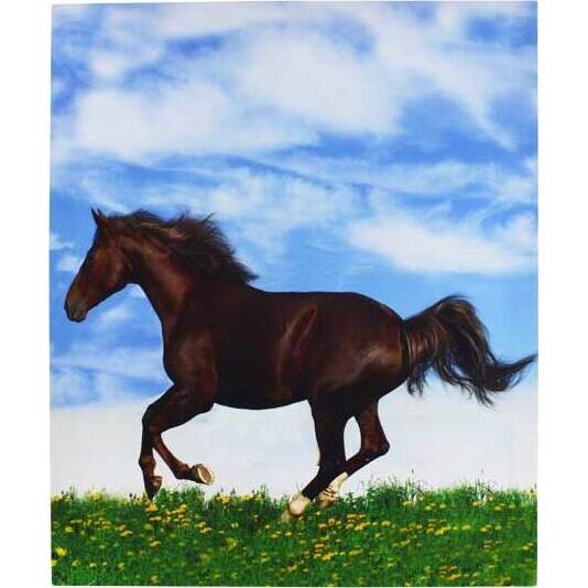 Canvas Print Galloping