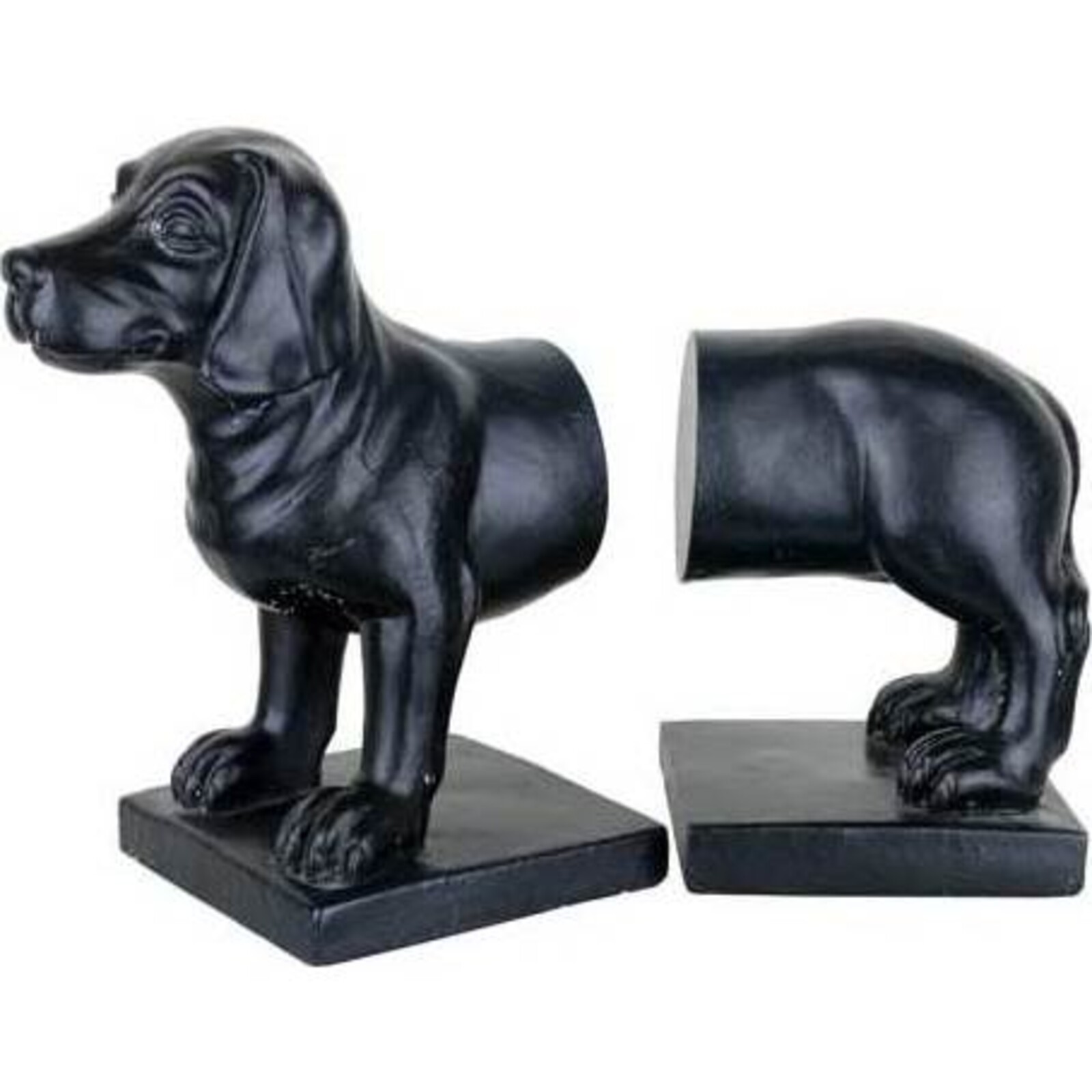 Bookend Canine