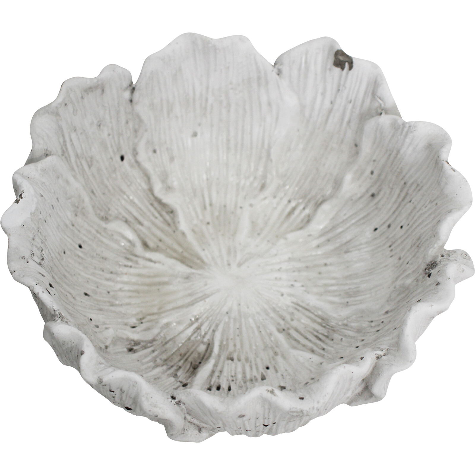 Bowl/Planter Foliose Coral