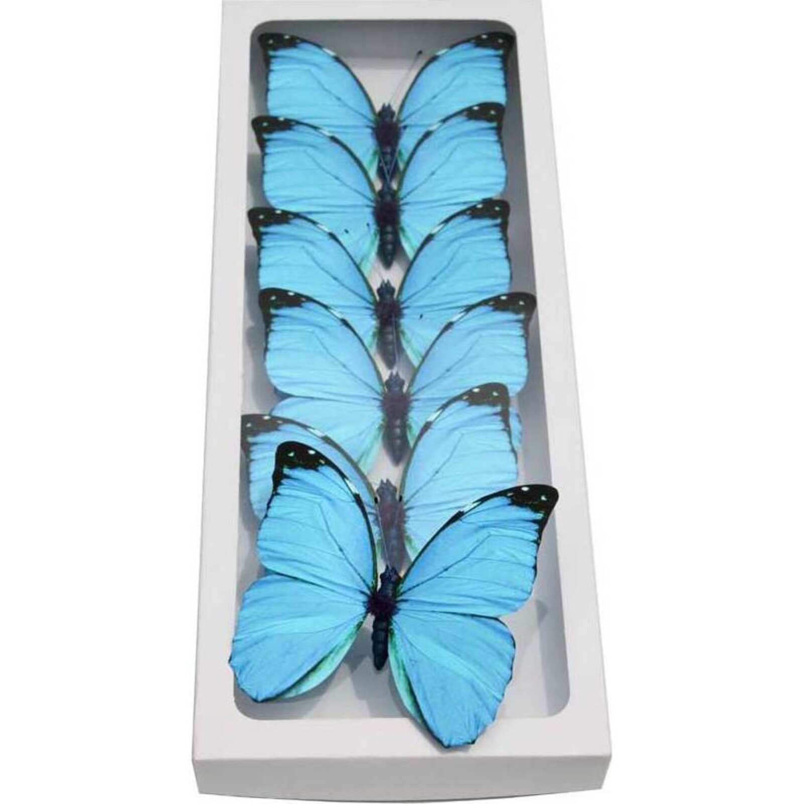  Butterfly Small - Bright Blue set 6 