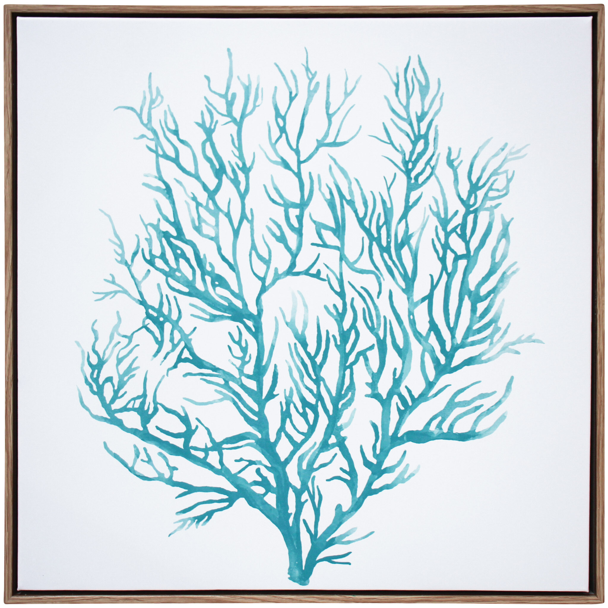 Framed Canvas Ocean Coral