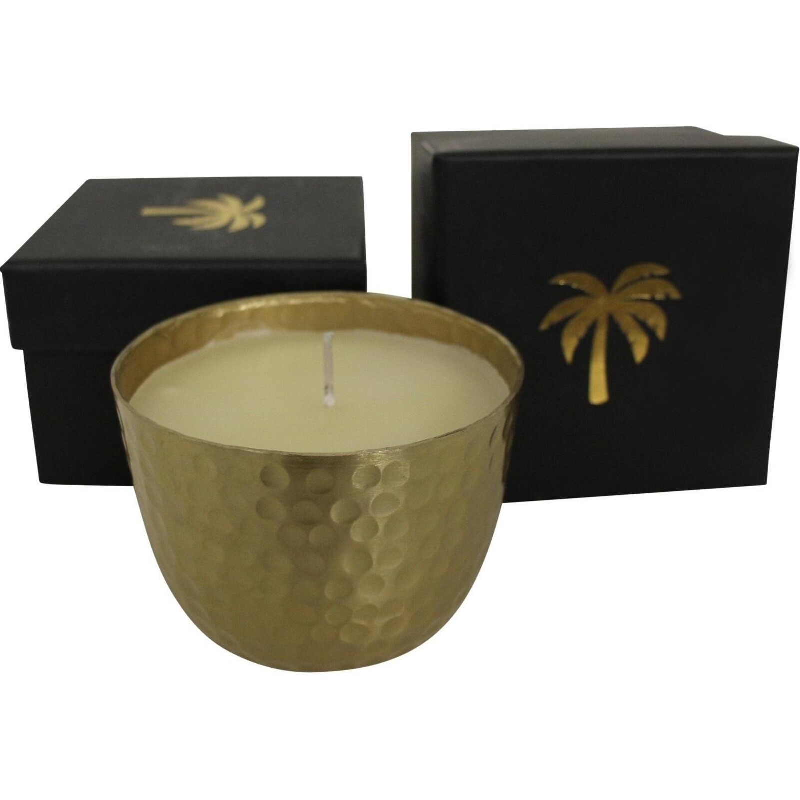 Candle Palm Vanilla