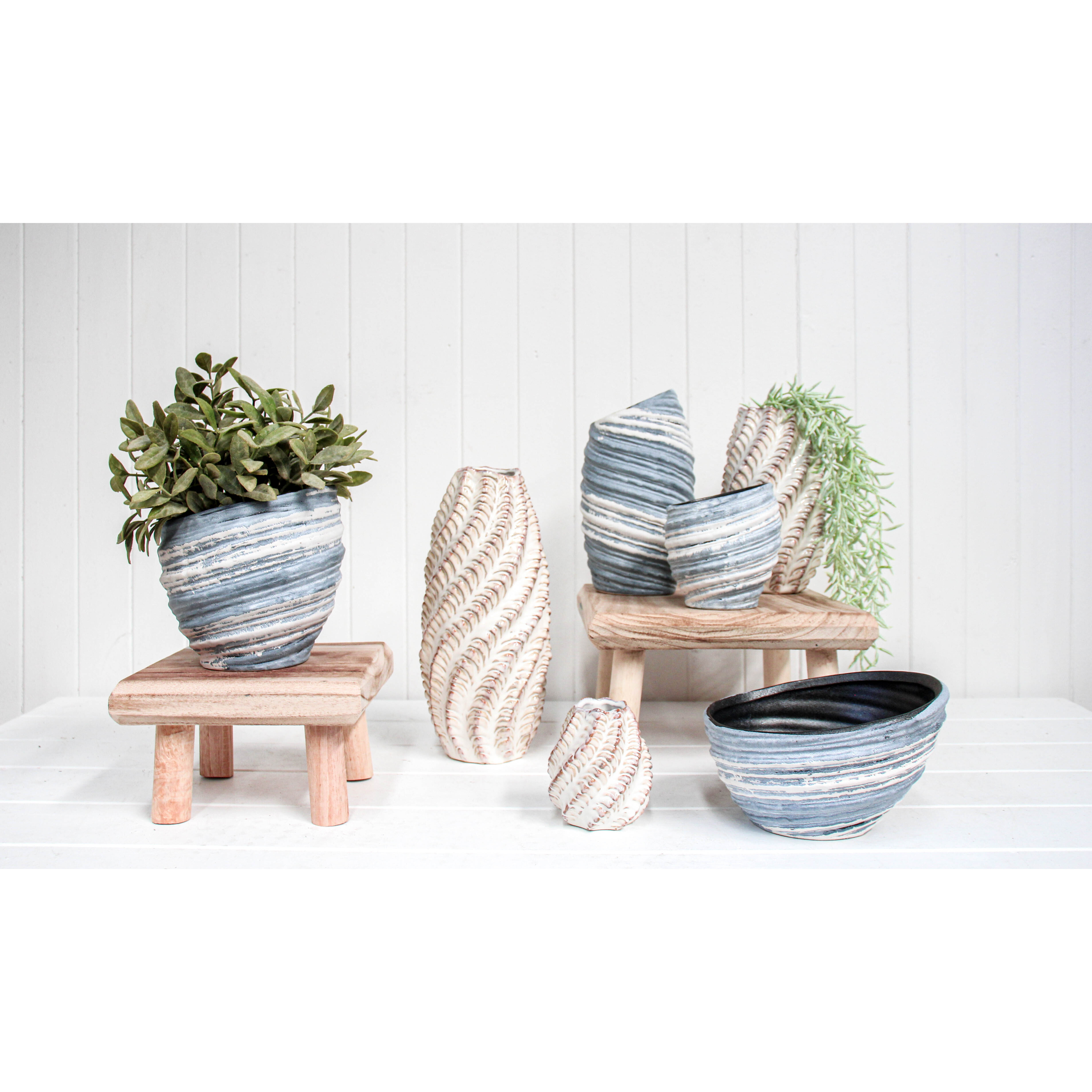 Planter Oyster Blue Med