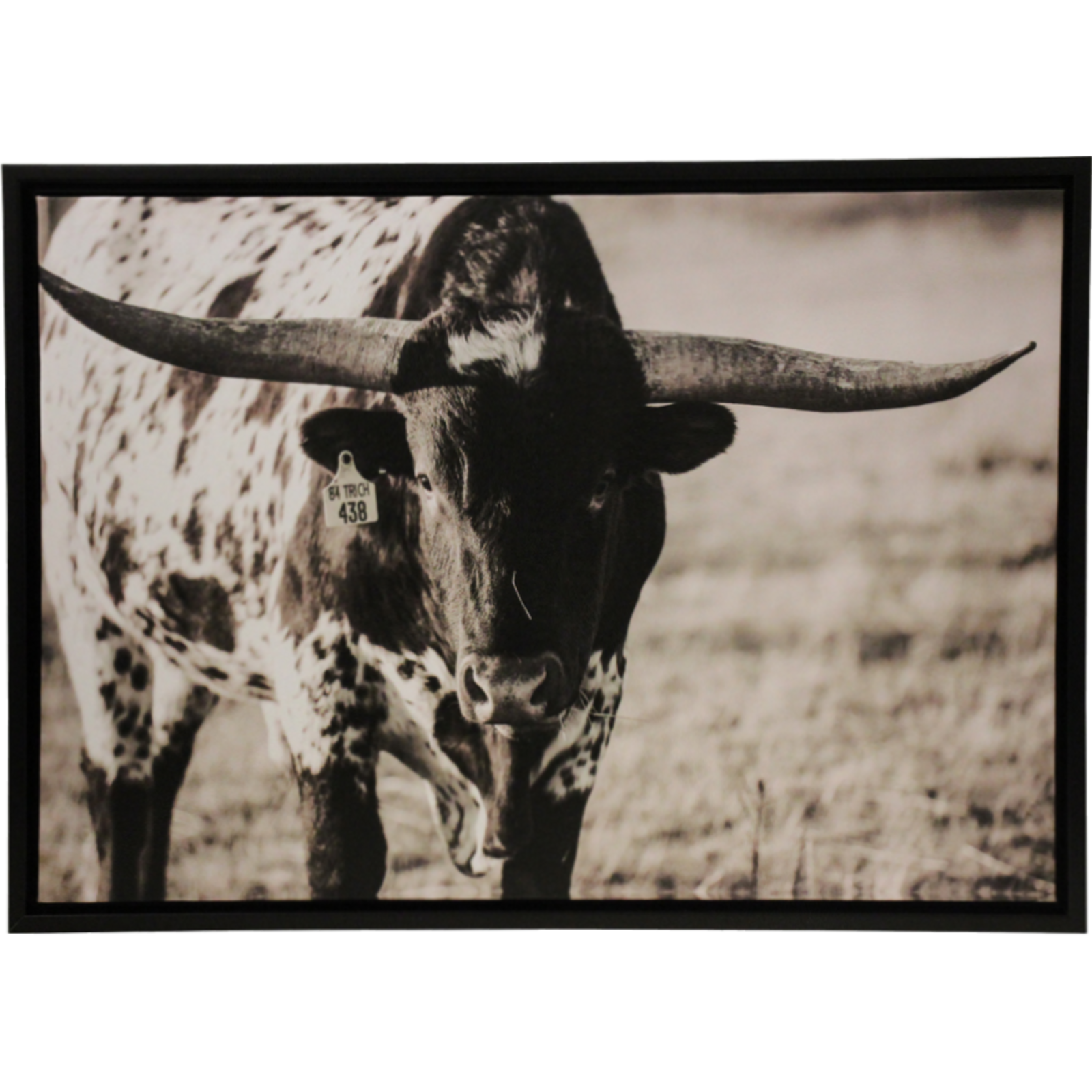 Framed Canvas Spotty Steer