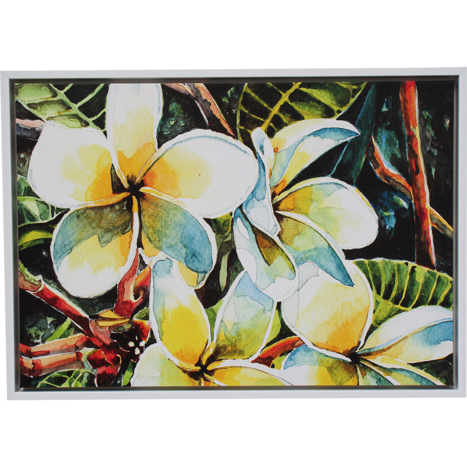 Framed Canvas Frangipani