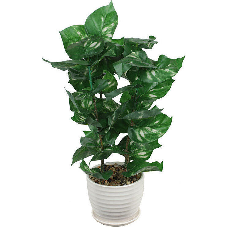 Replica Plant Philadendron