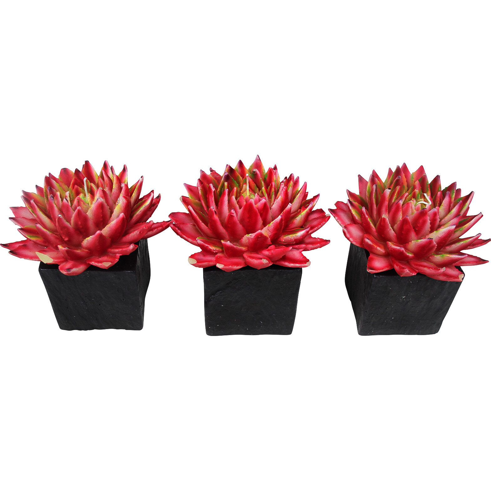 Candle Succulent Pot Burg 