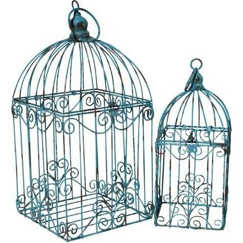 Birdcage Coil Blue set 2