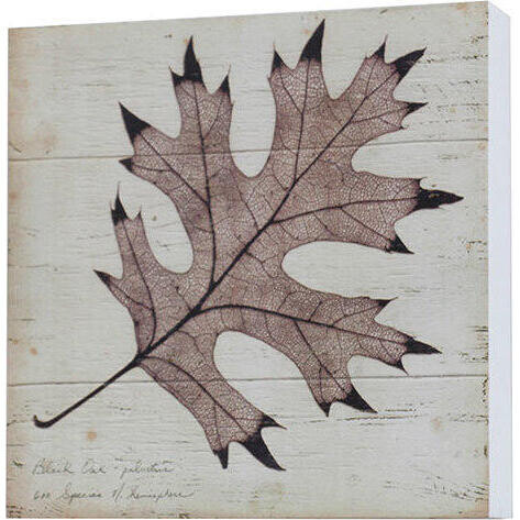 Wall Art Maple Leaf