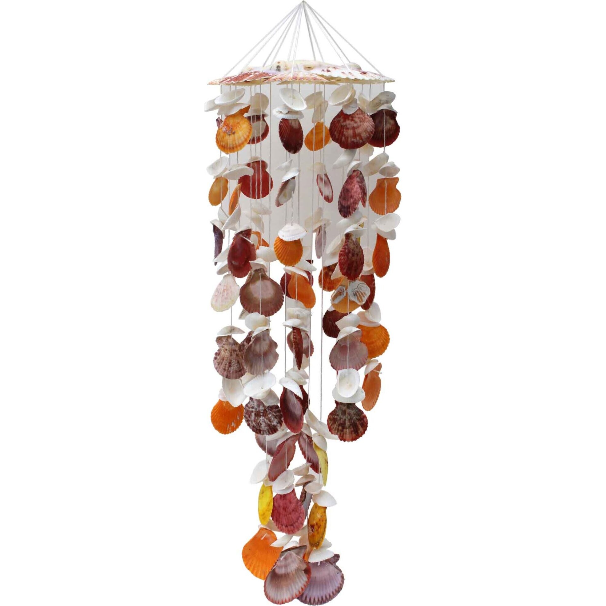 Shell Wind Chime - Colour scallop