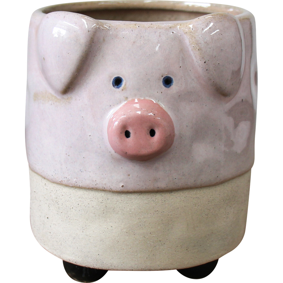 Planter Wilbur Pig