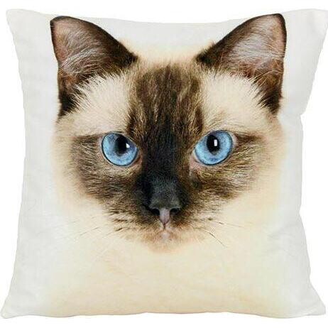 Cushion Siamese