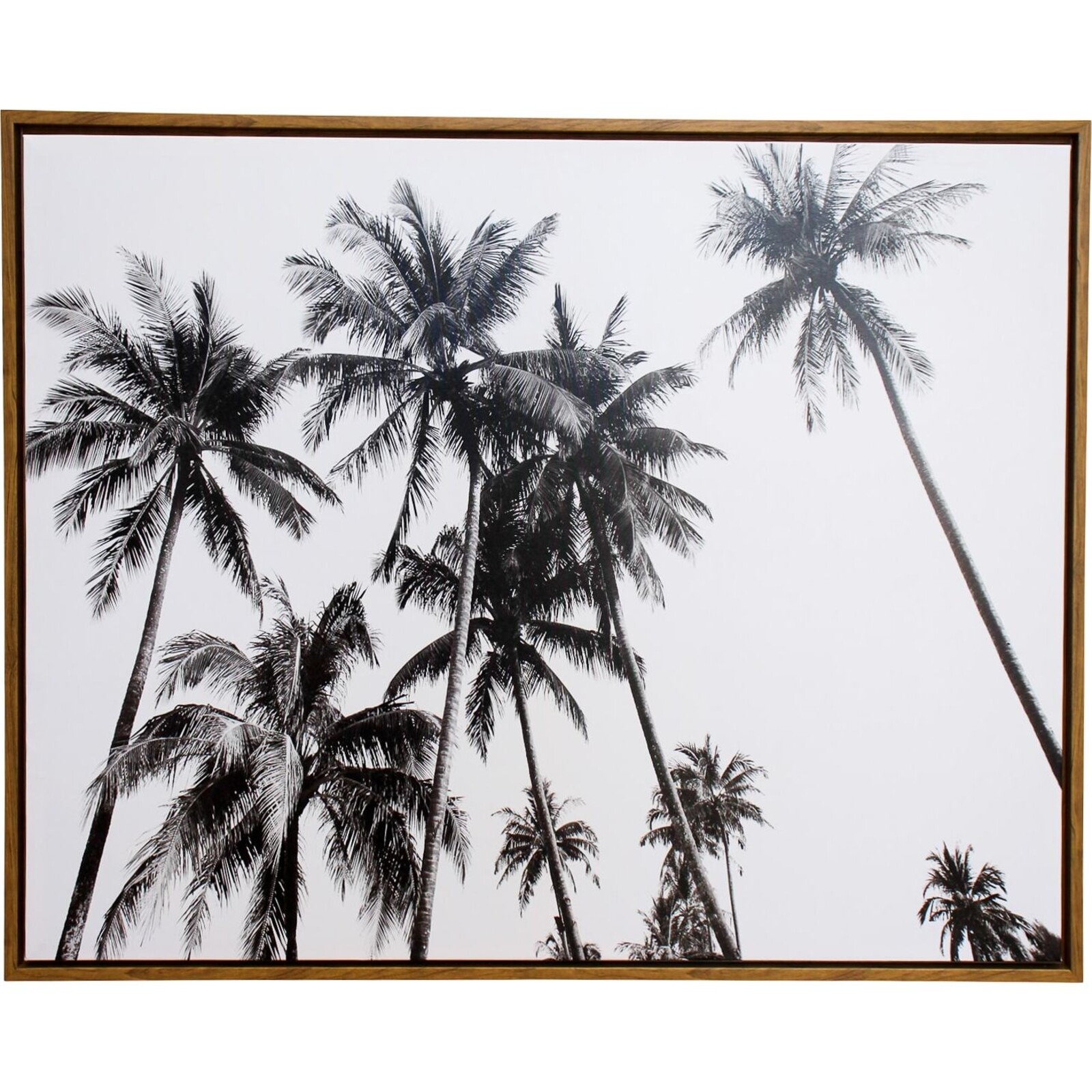 Framed Canvas Palm Skies