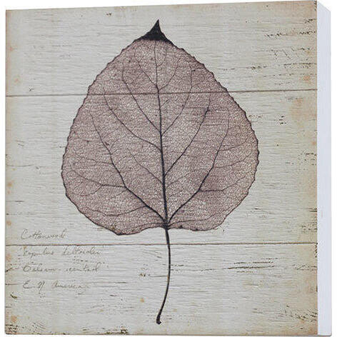 Wall Art White Elm Leaf