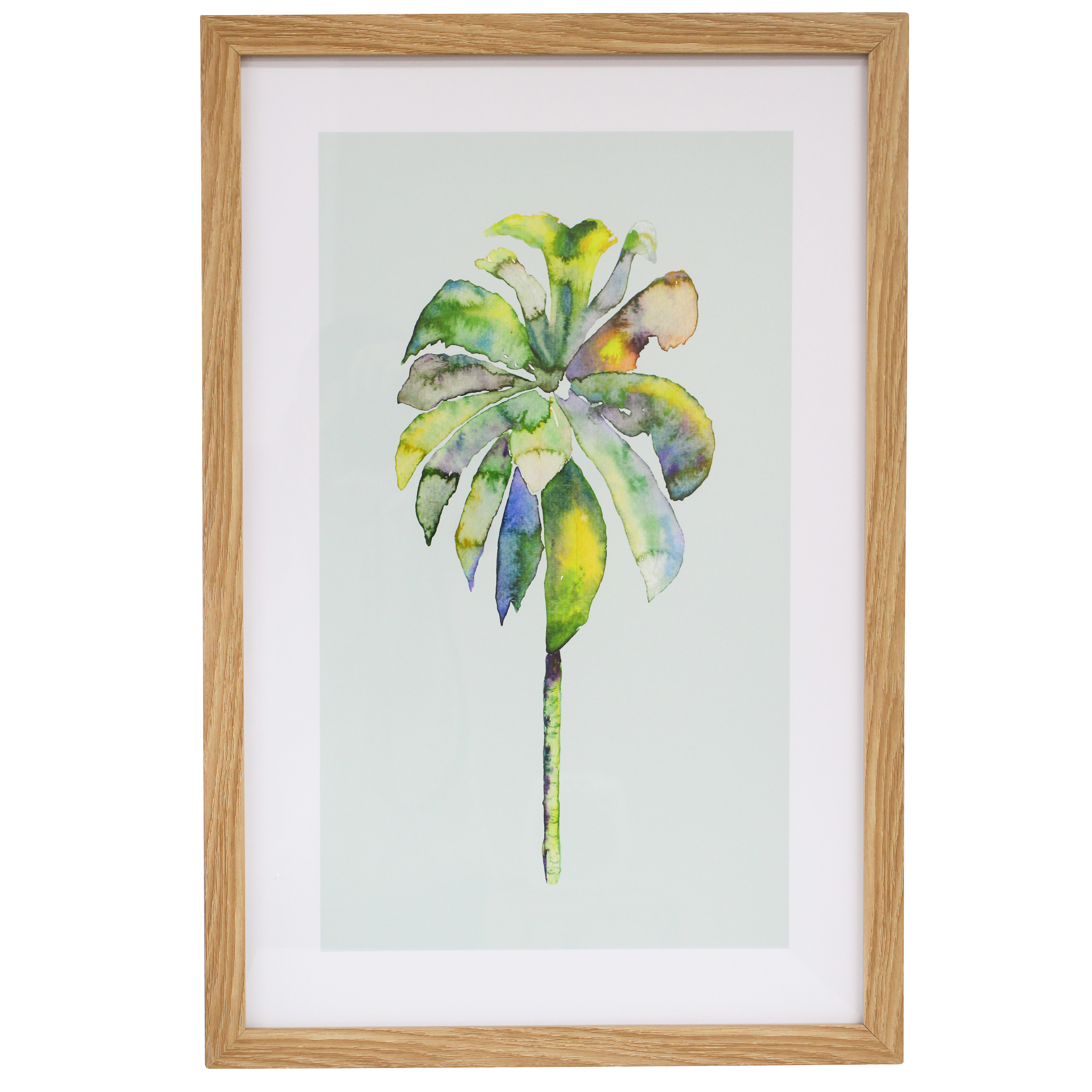 Framed Print Palm 1