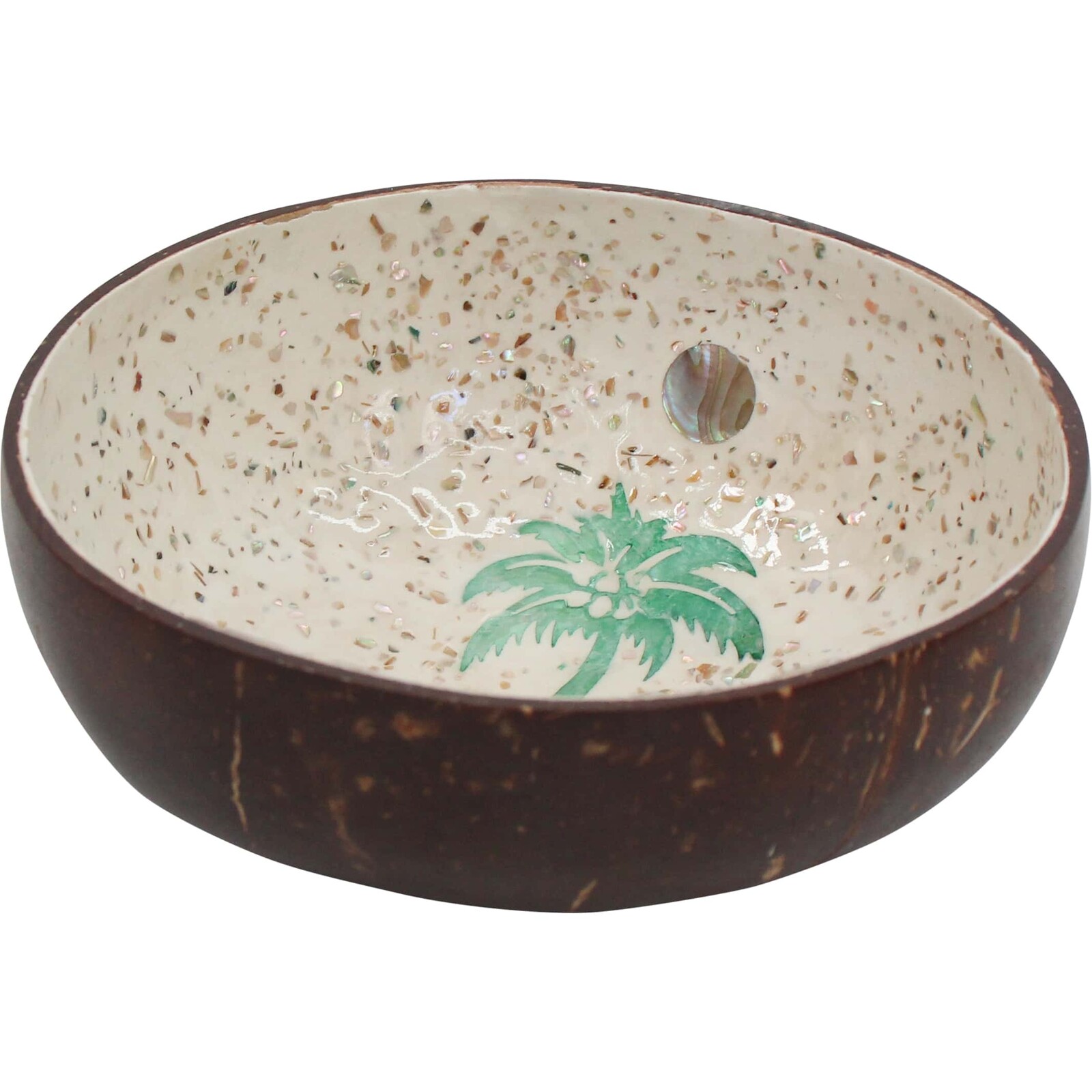Coconut Bowl Palm
