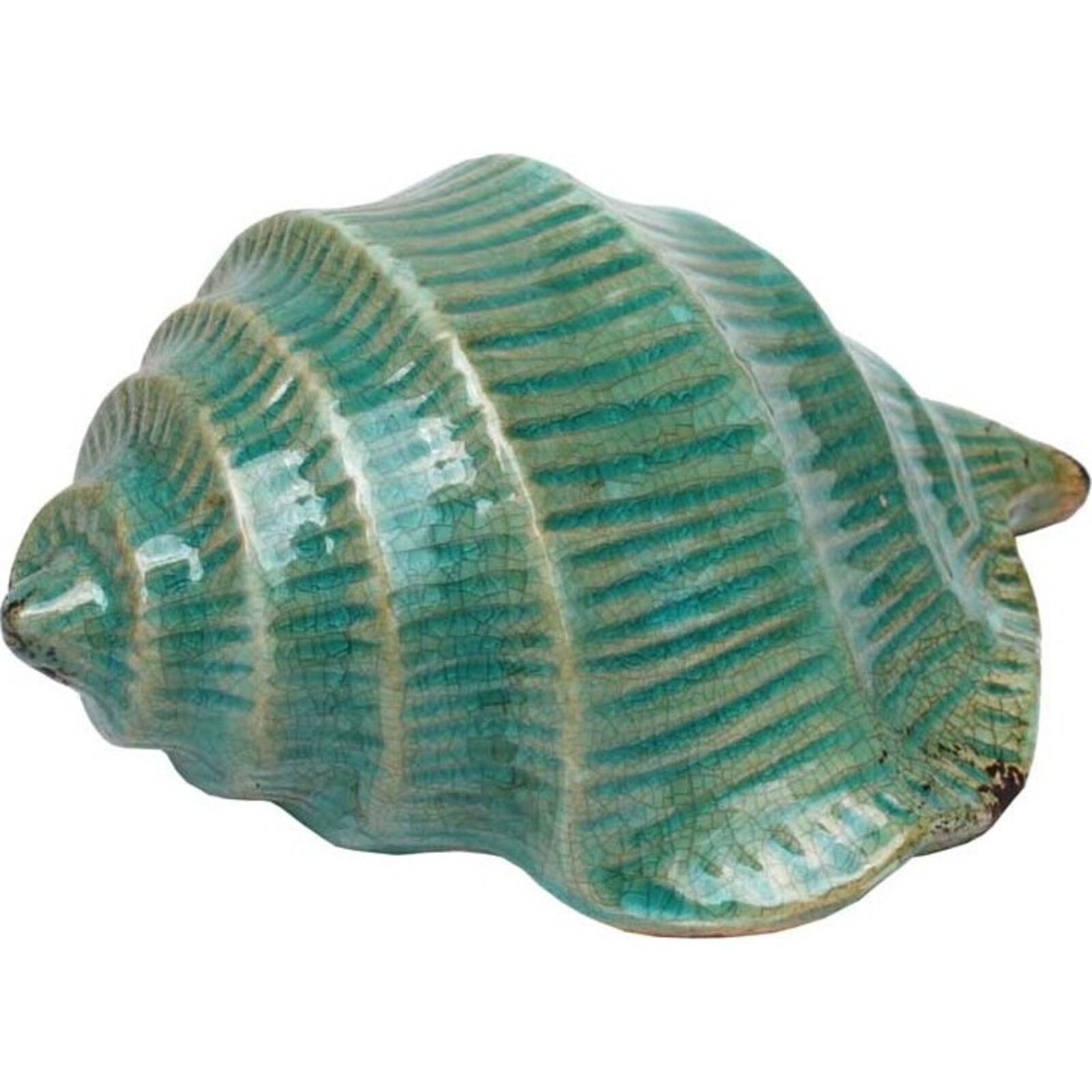 Ceramic Norton Shell