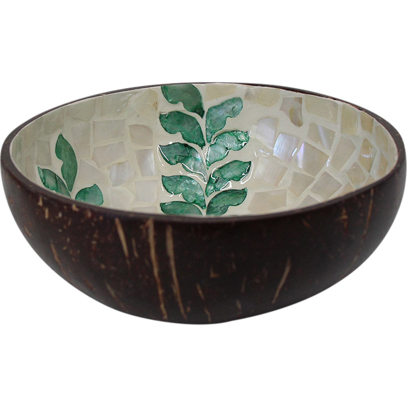 Coco Bowl Fern