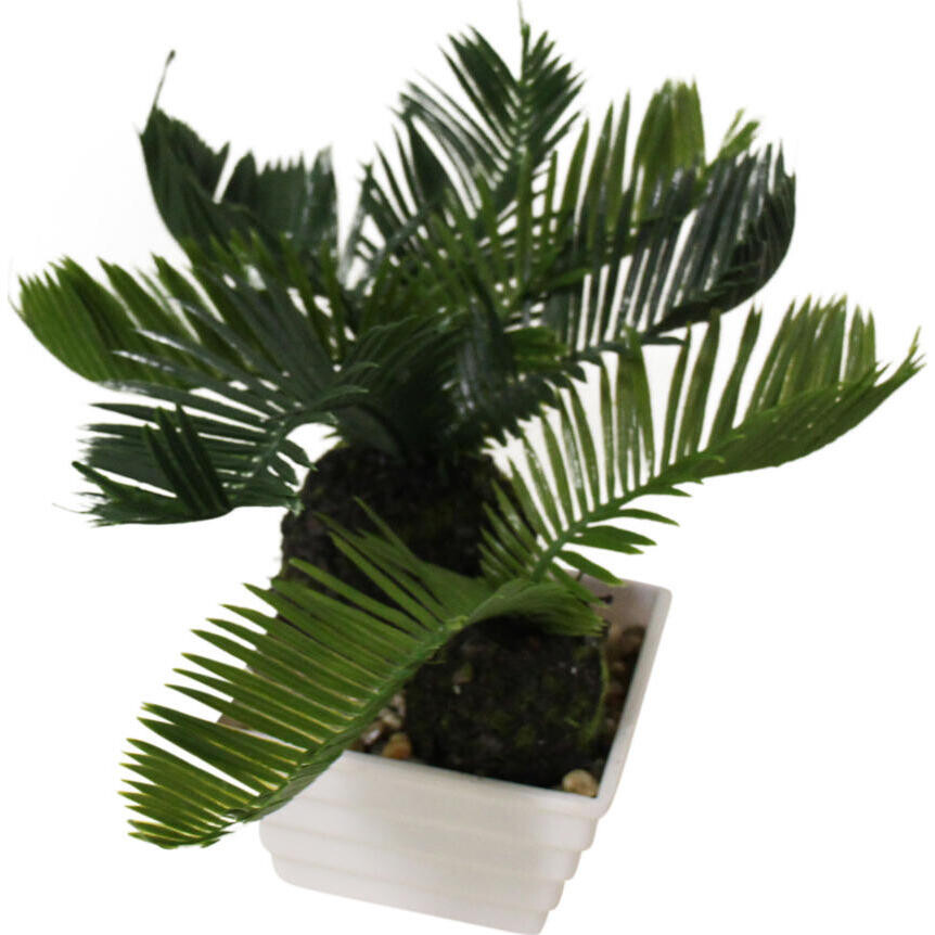 Faux Cycad Fern