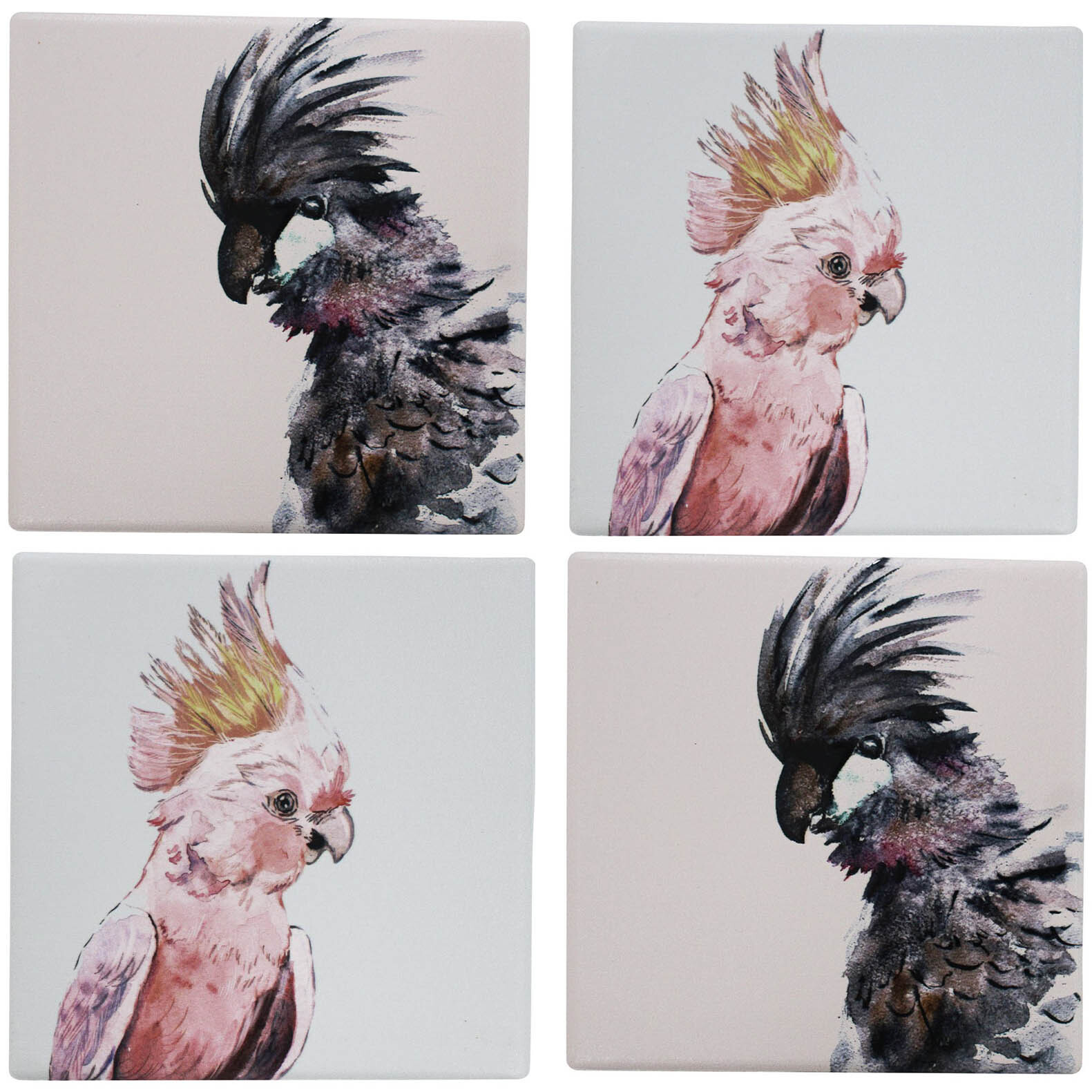 Coasters Pretty Polly