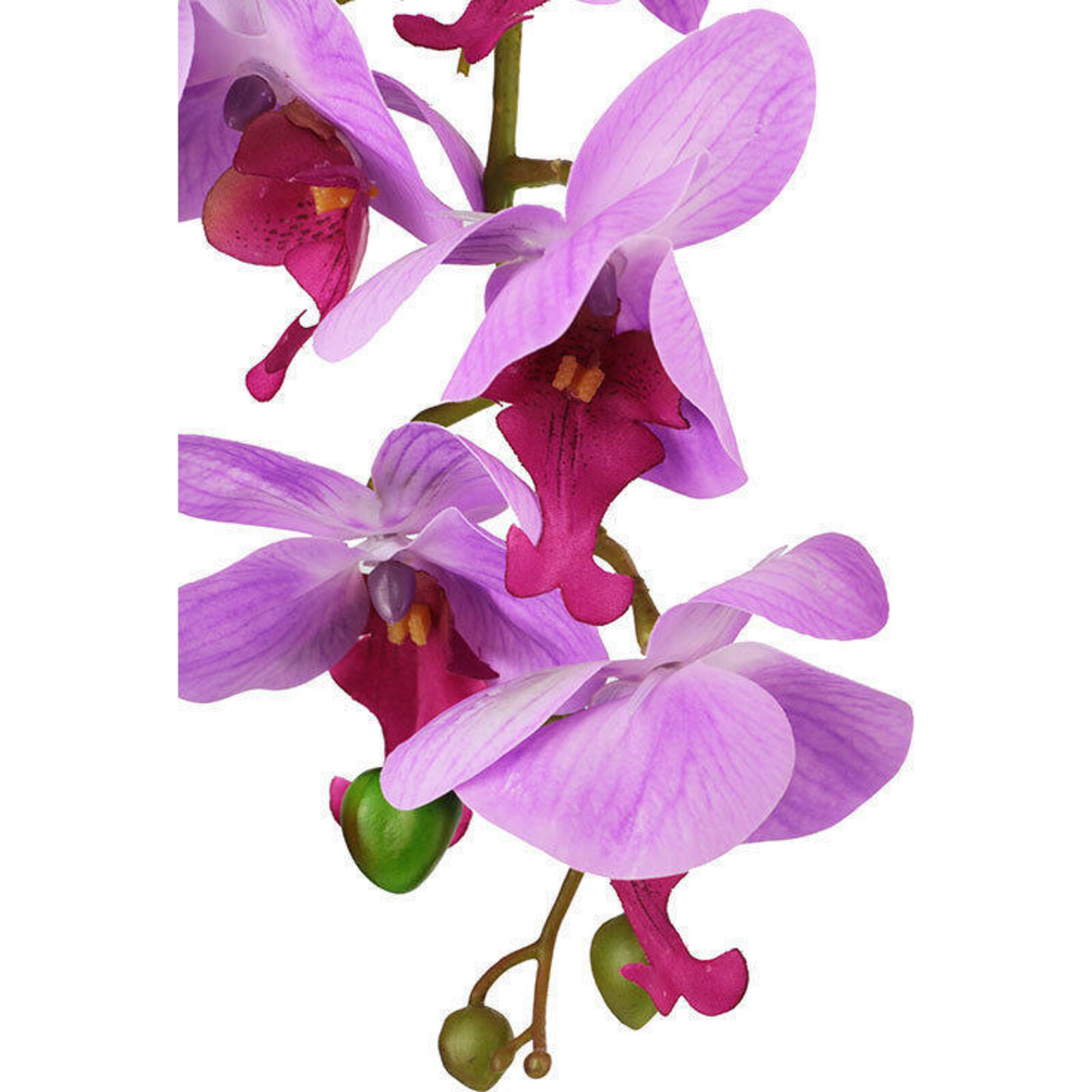 Imitation Orchid Purple Medium