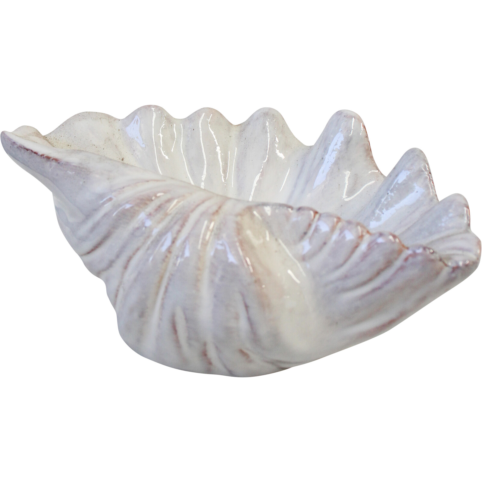 Shell Dish Ivory Lrg