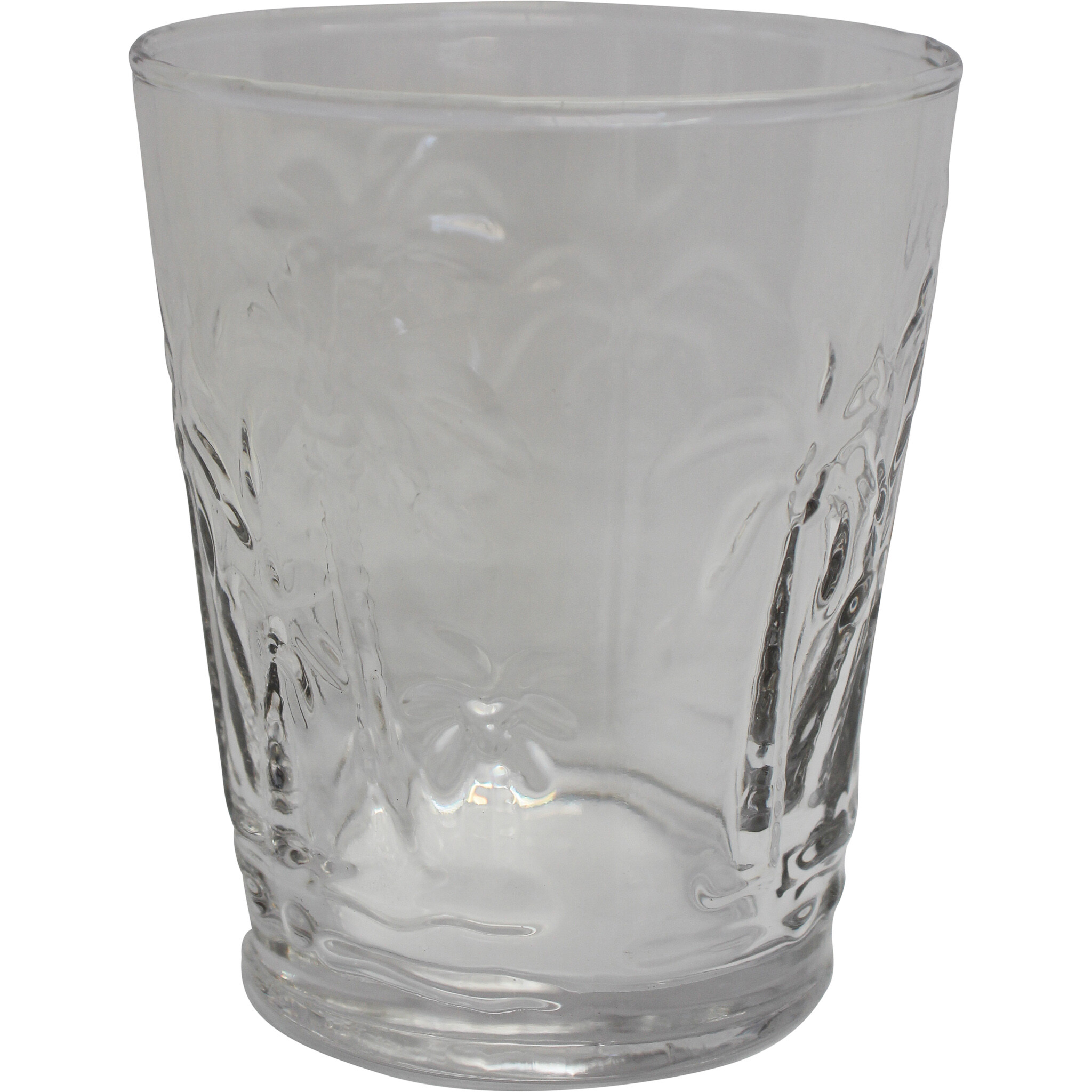 Tumbler Glass Palm Clear 