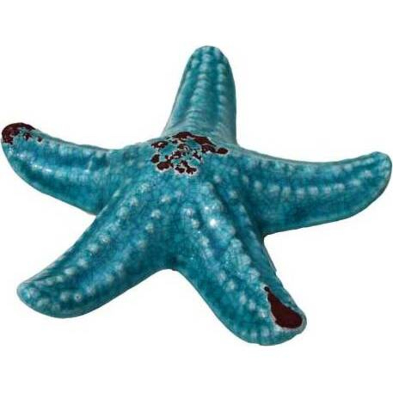Starfish Raised Teal