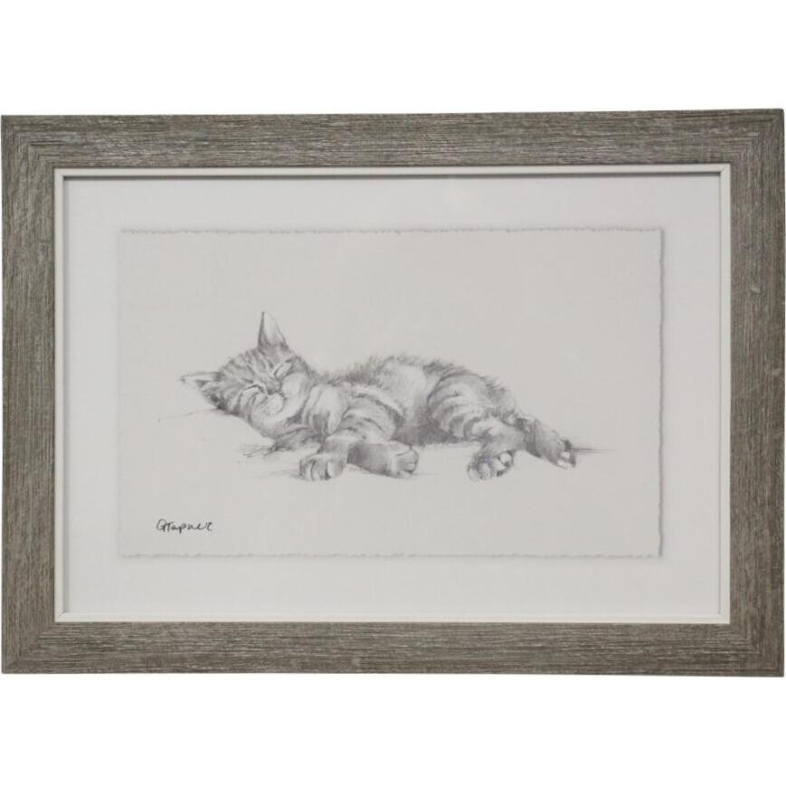 Framed Print Kitten 4