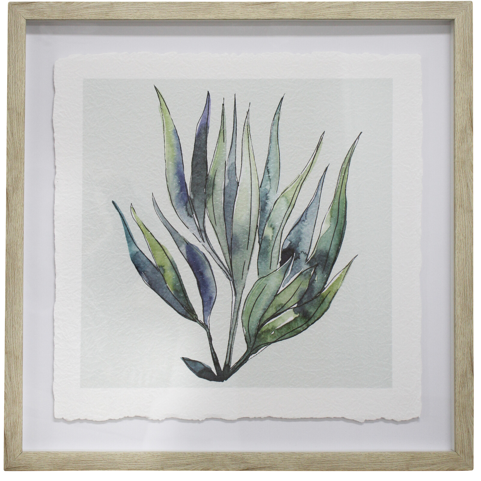 Framed Print Seaweed 2