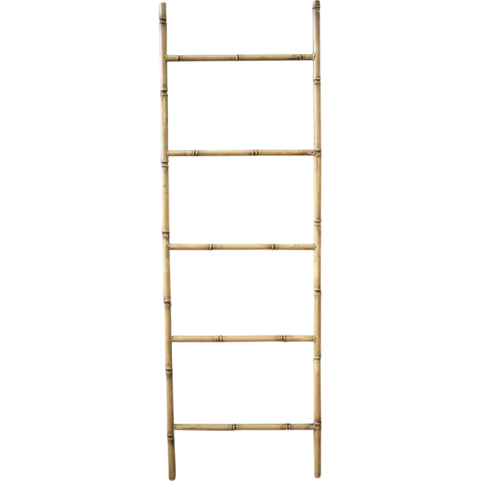 Ladder Metal Cane Straight