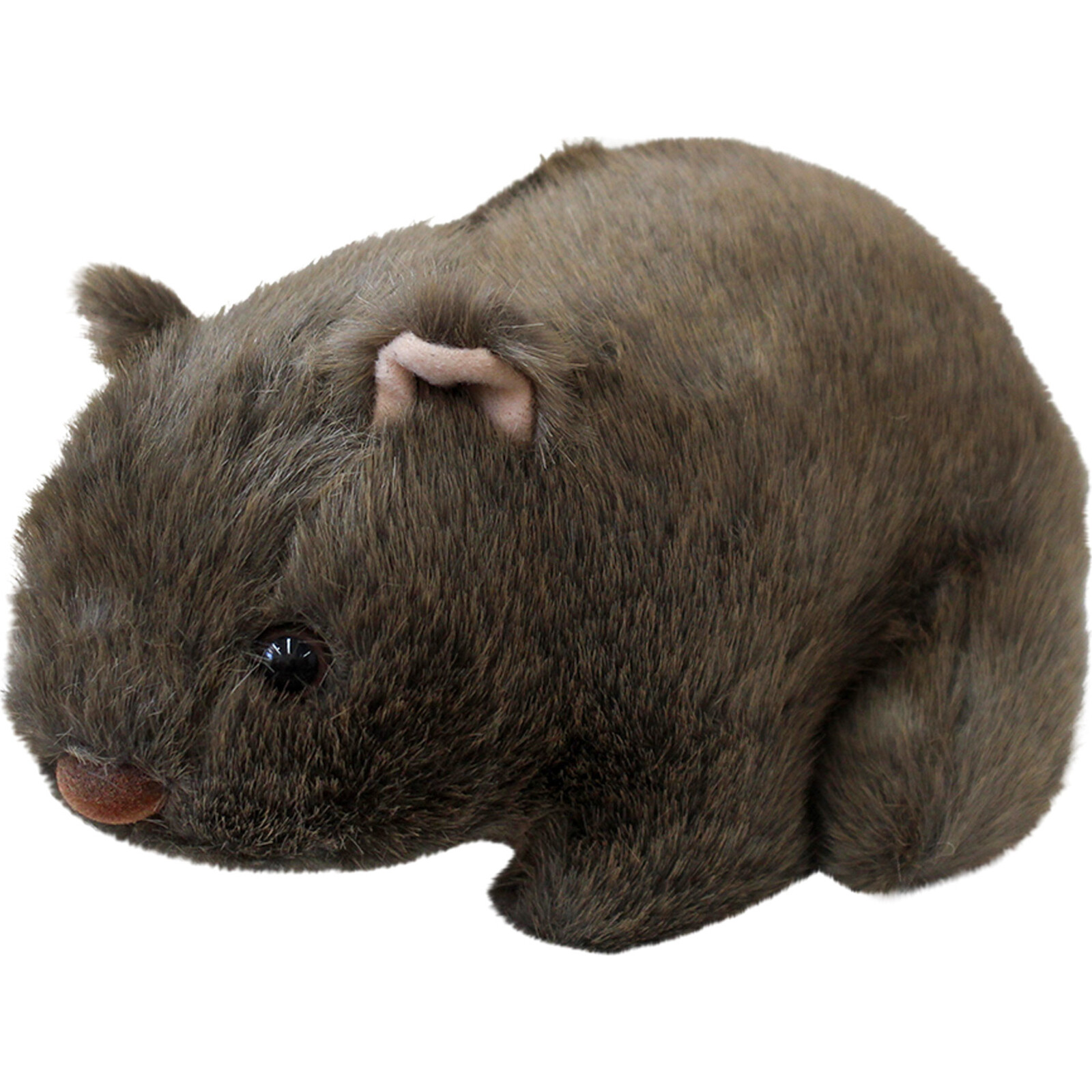 Plush Wolly Wombat